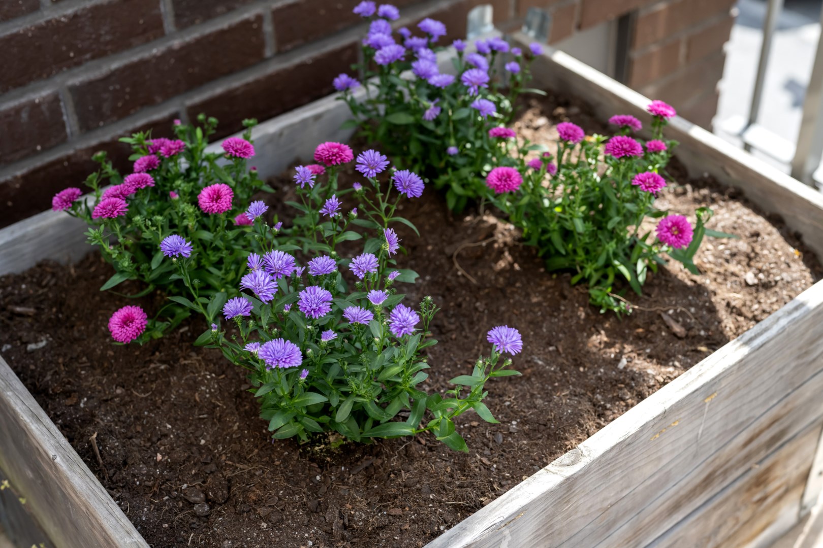 Bostadsbild från Portalgatan 66, Såld i Kapellgärdet, Uppsala