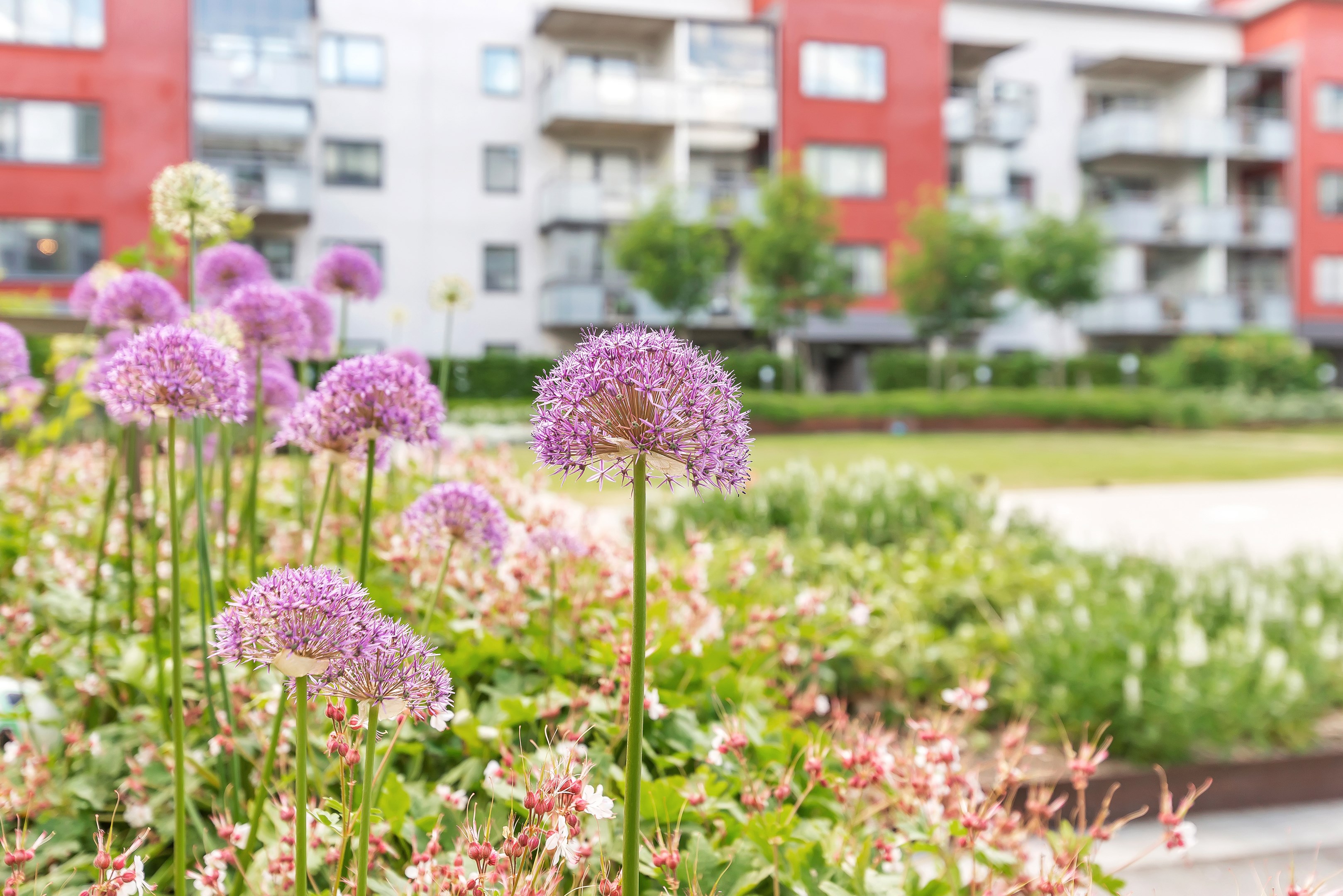Bostadsbild från Portalgatan 66, Såld i Kapellgärdet, Uppsala