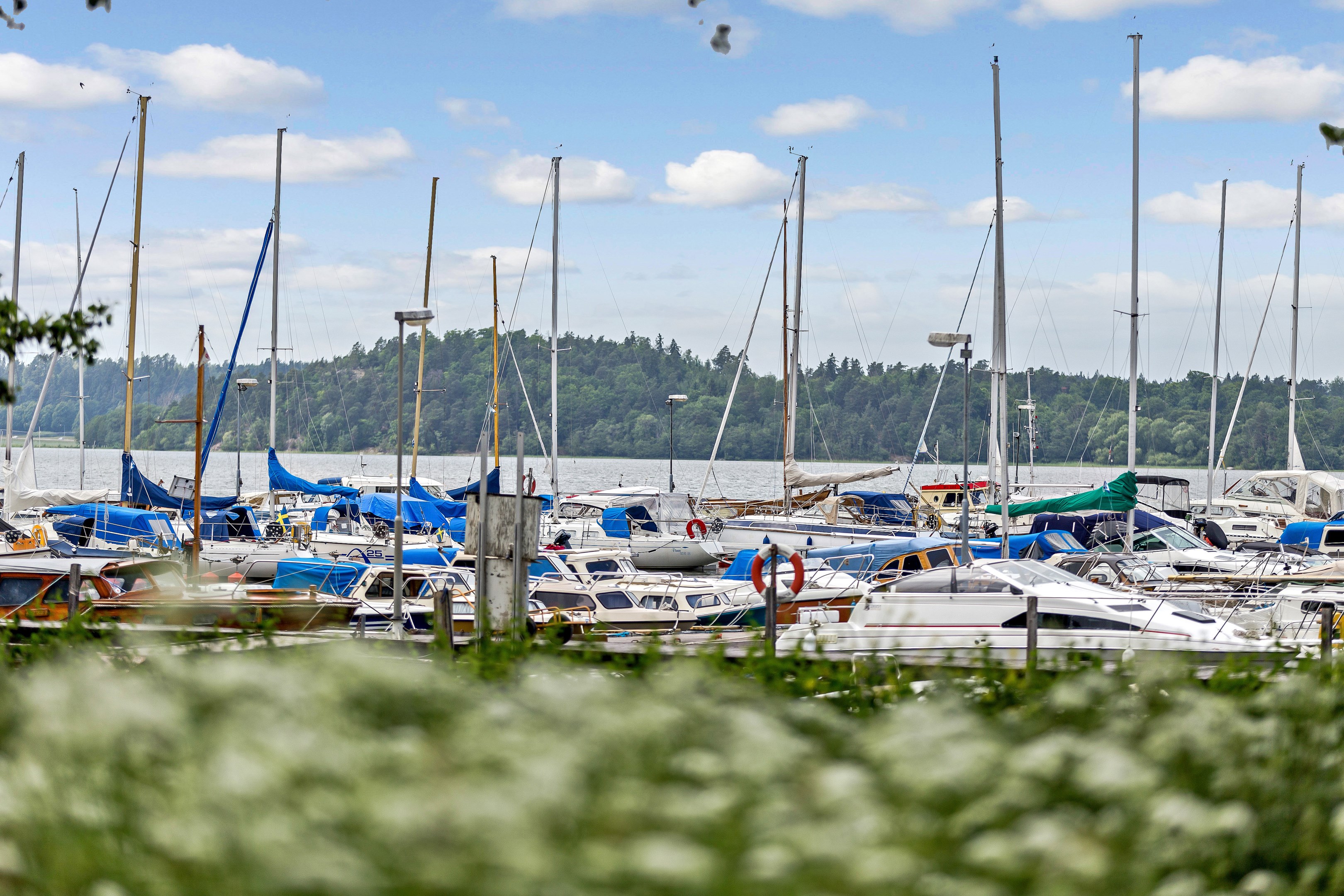 marina
