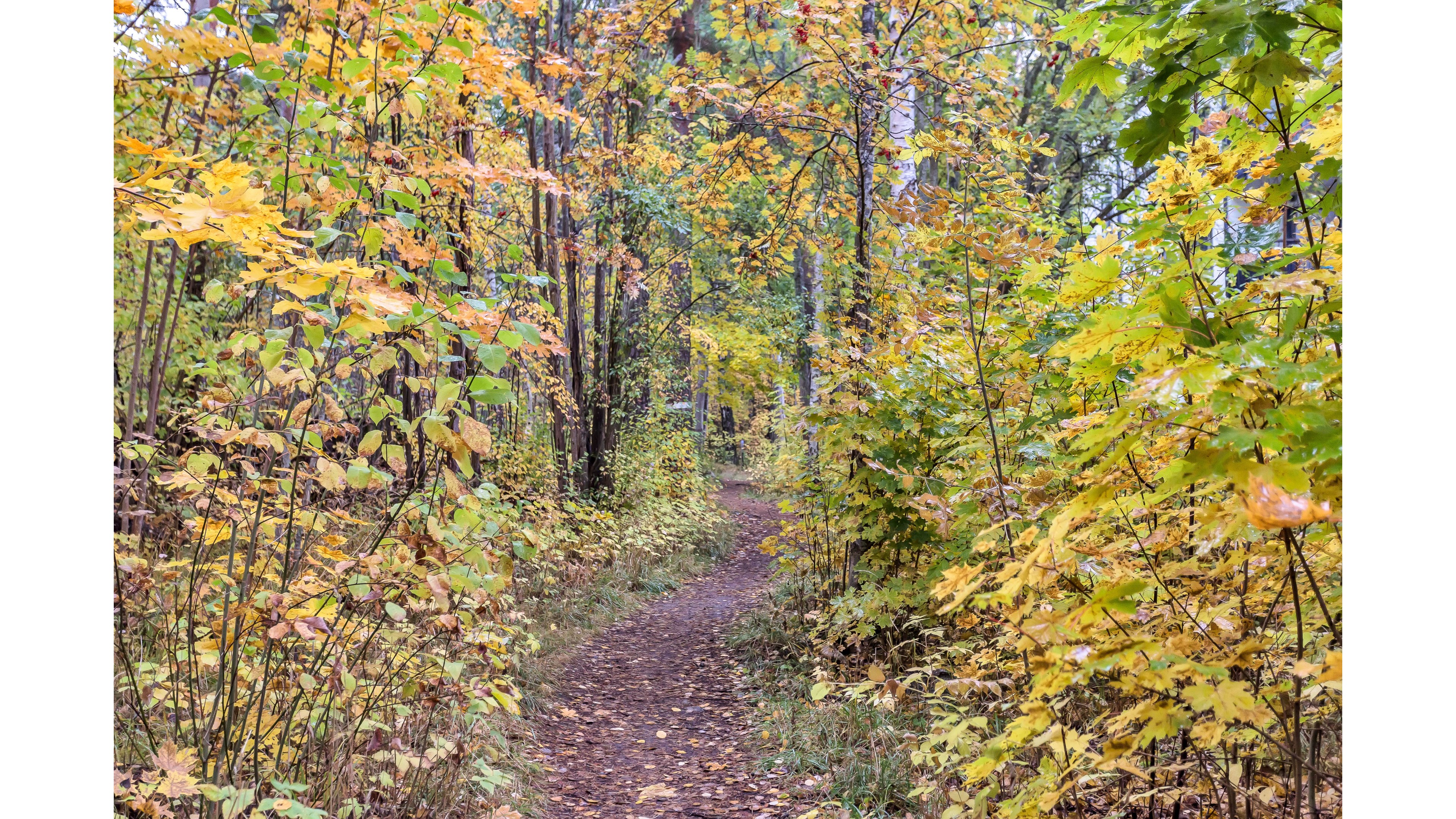 Bostadsbild från Norbyvägen 46D, Såld i Sommarro, Uppsala
