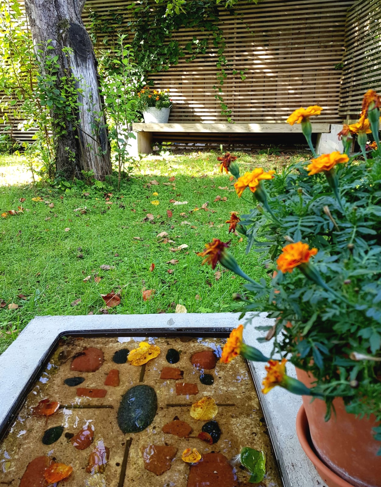 Bostadsbild från Björkgatan 27A, Såld i Fålhagen, Uppsala