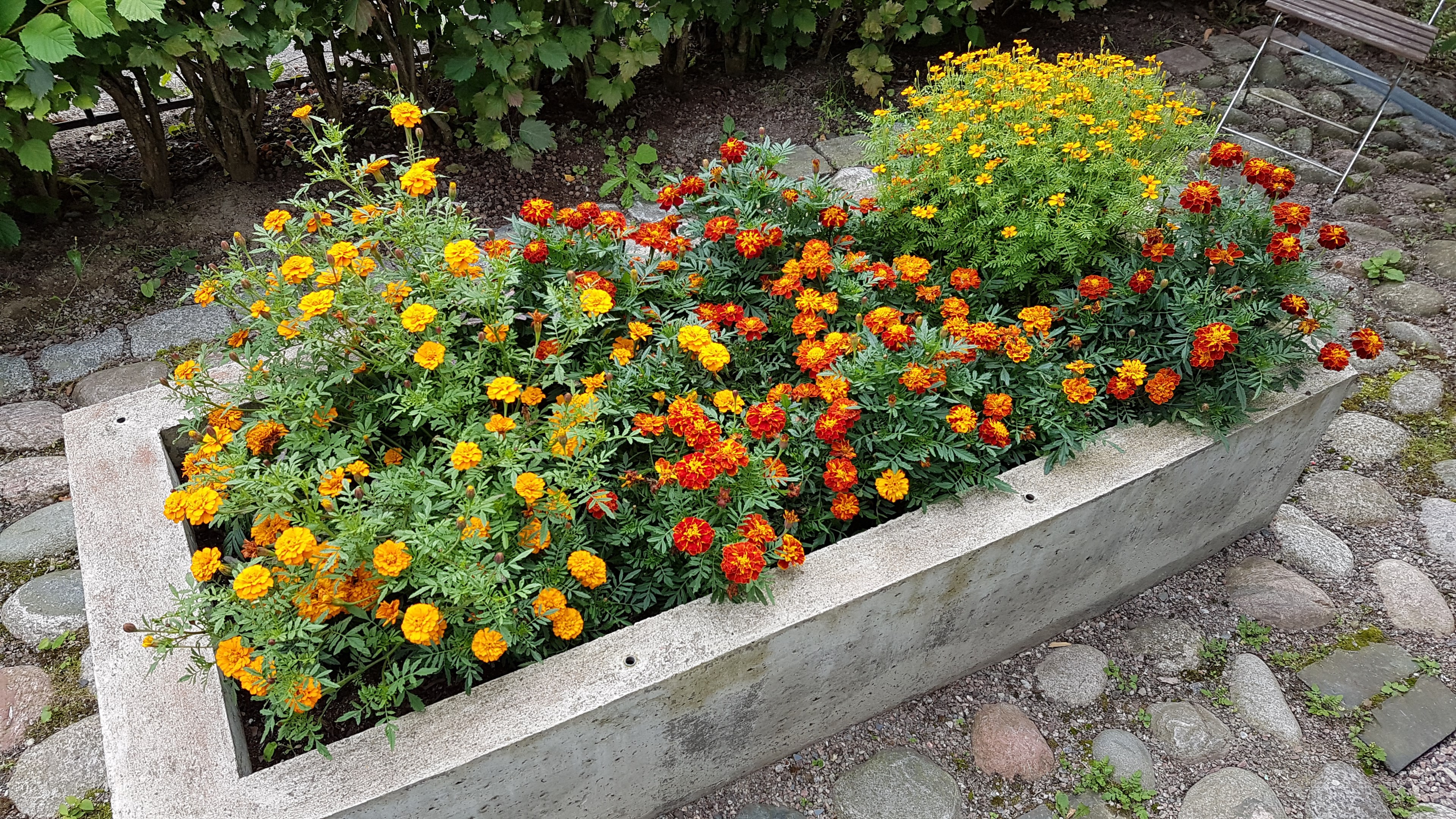 Bostadsbild från Björkgatan 27A, Såld i Fålhagen, Uppsala