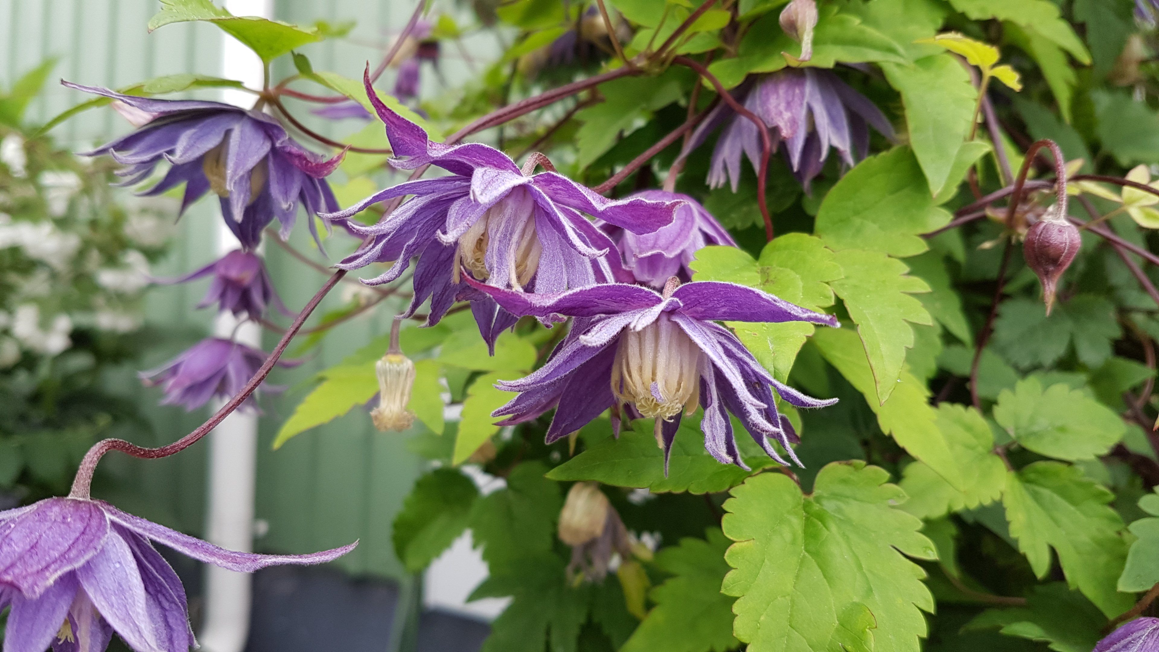 Bostadsbild från Björkgatan 27A, Såld i Fålhagen, Uppsala