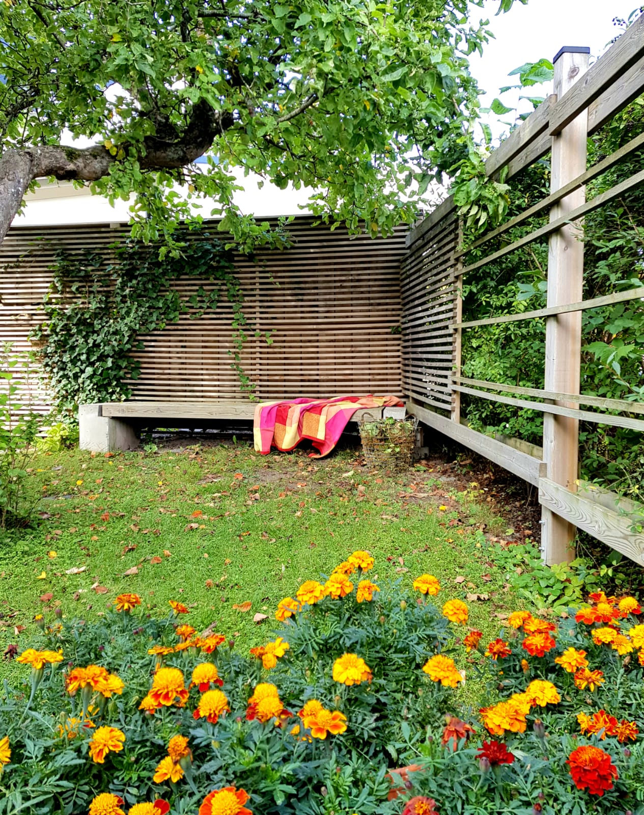 Bostadsbild från Björkgatan 27A, Såld i Fålhagen, Uppsala