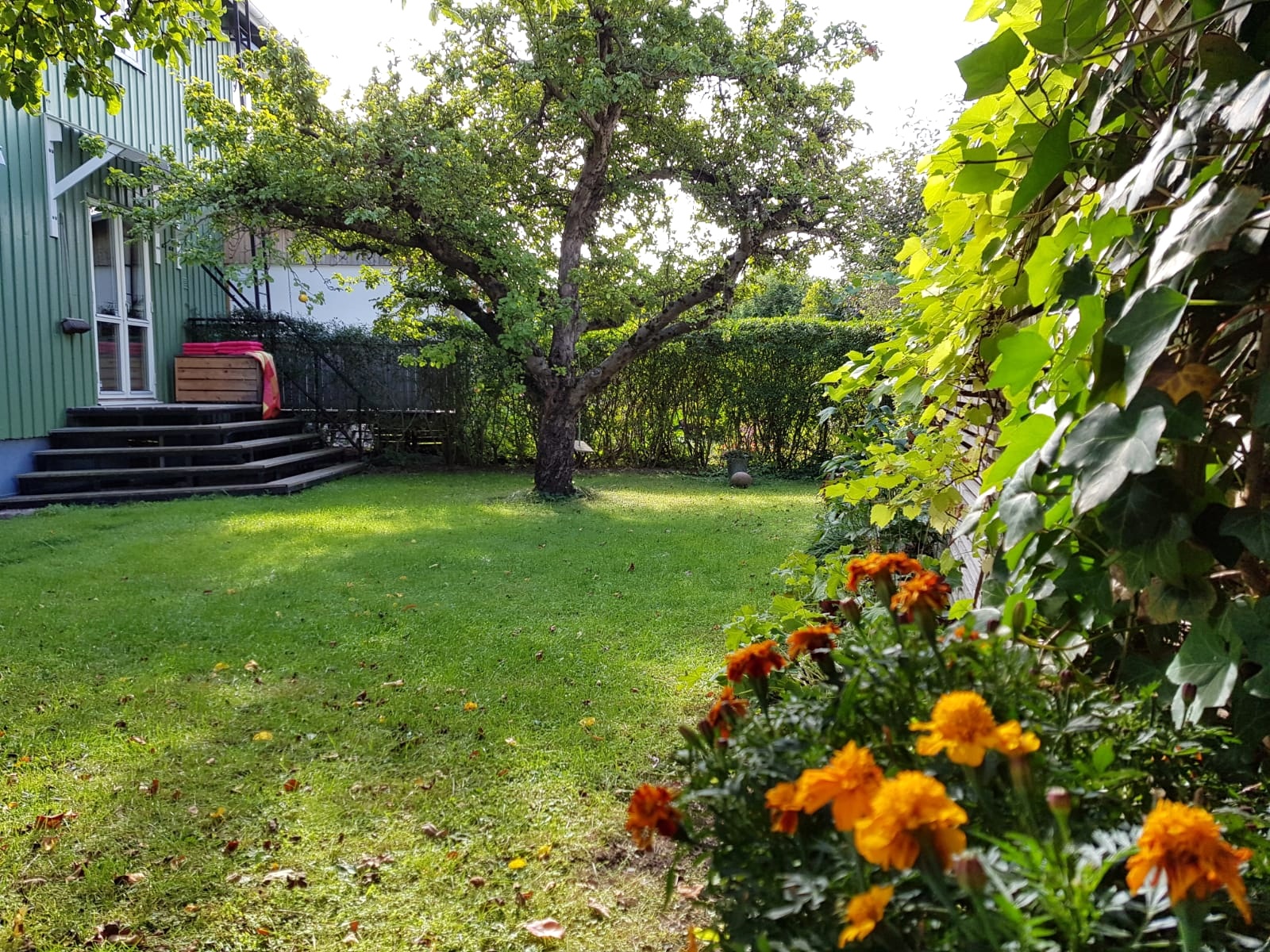 Bostadsbild från Björkgatan 27A, Såld i Fålhagen, Uppsala