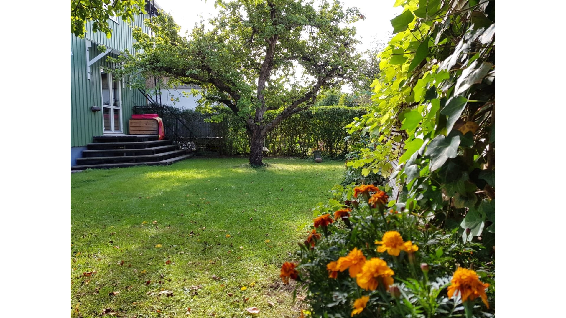 Bostadsbild från Björkgatan 27A, Såld i Fålhagen, Uppsala