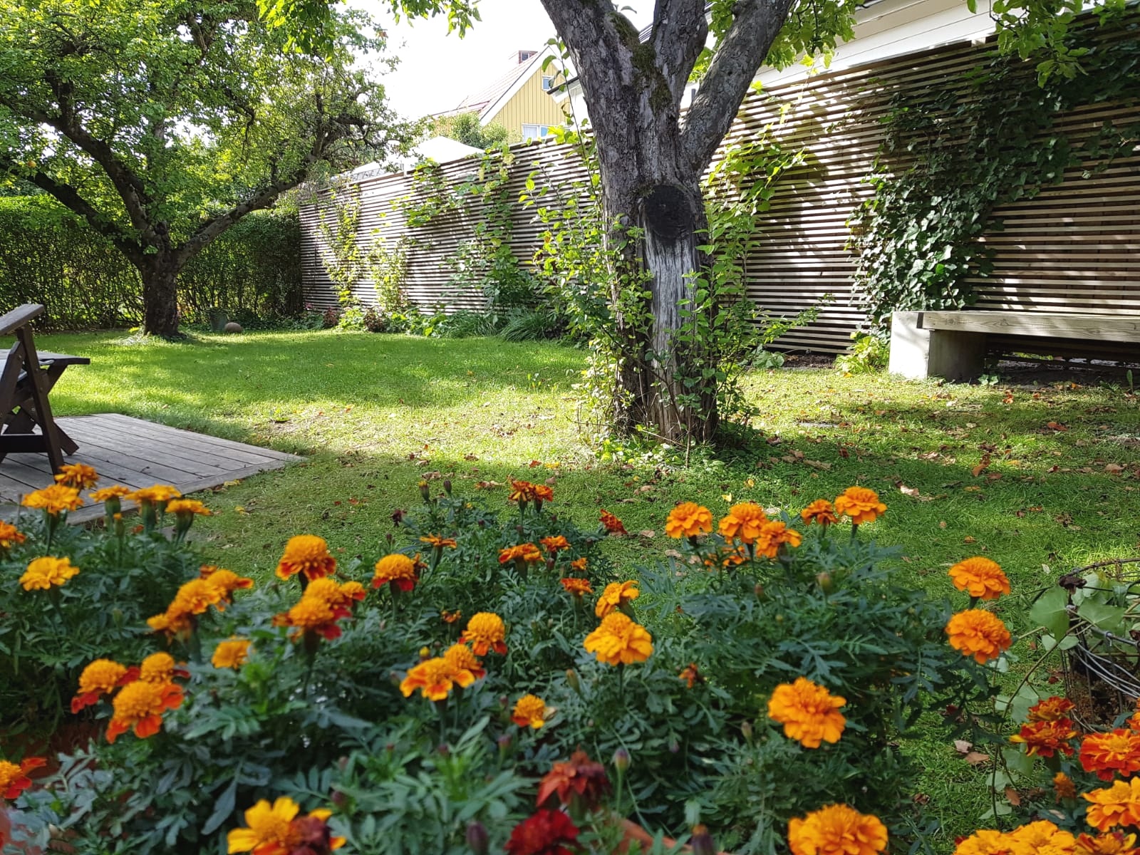 Bostadsbild från Björkgatan 27A, Såld i Fålhagen, Uppsala