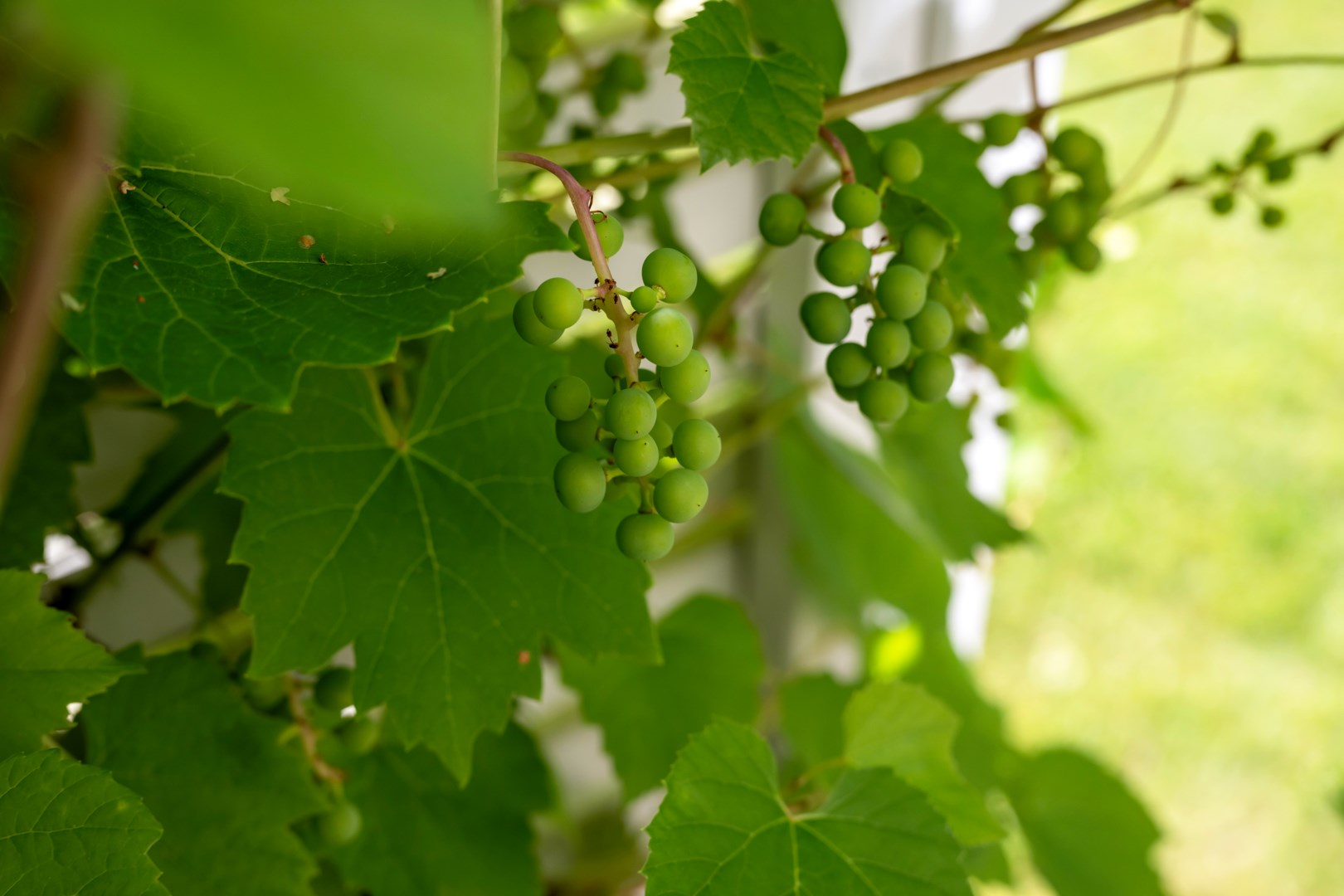 Bostadsbild från Varggropsvägen 44, Till salu i Björklinge, Uppsala