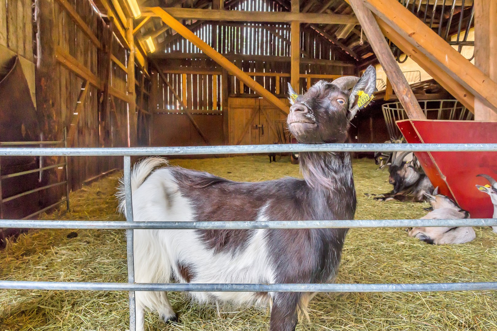 Bostadsbild från Viktor Rydbergsgatan 29, Såld i Nyby, Uppsala