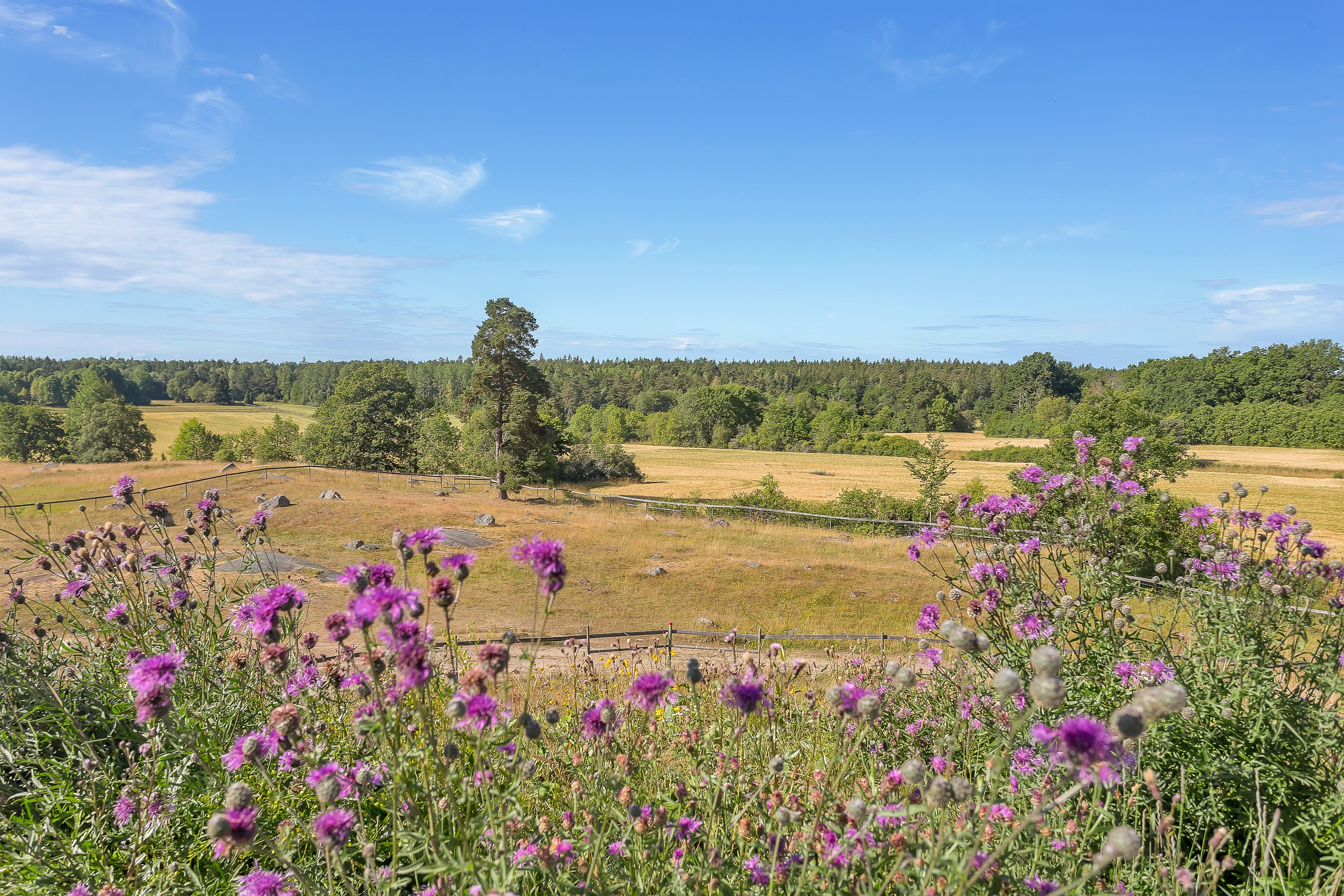 Bostadsbild från Basarbovägen 4, Såld i Ekeby, Uppsala