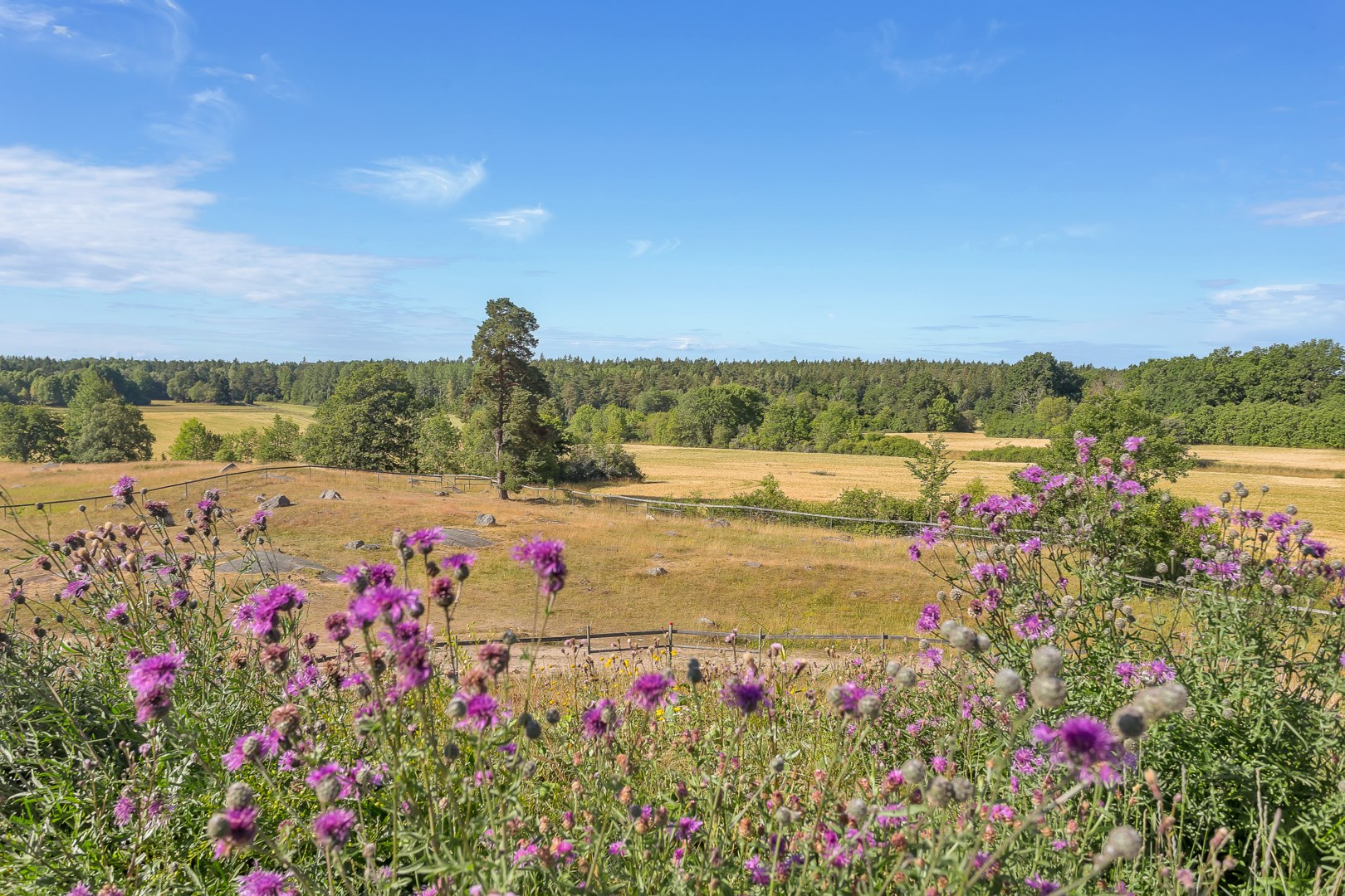 Bostadsbild från Basarbovägen 4, Såld i Ekeby, Uppsala