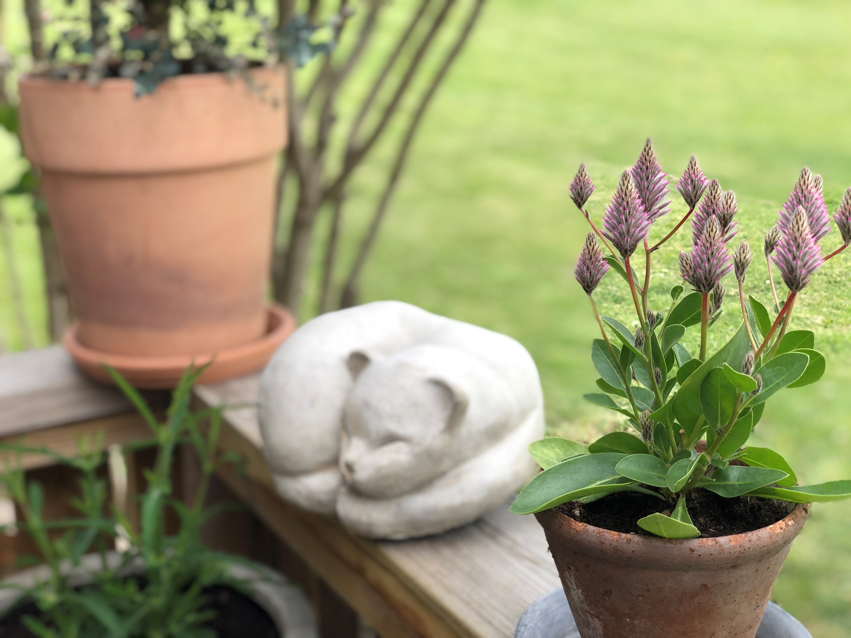 Bostadsbild från Kummingatan 50 C, Såld i Årsta, Uppsala