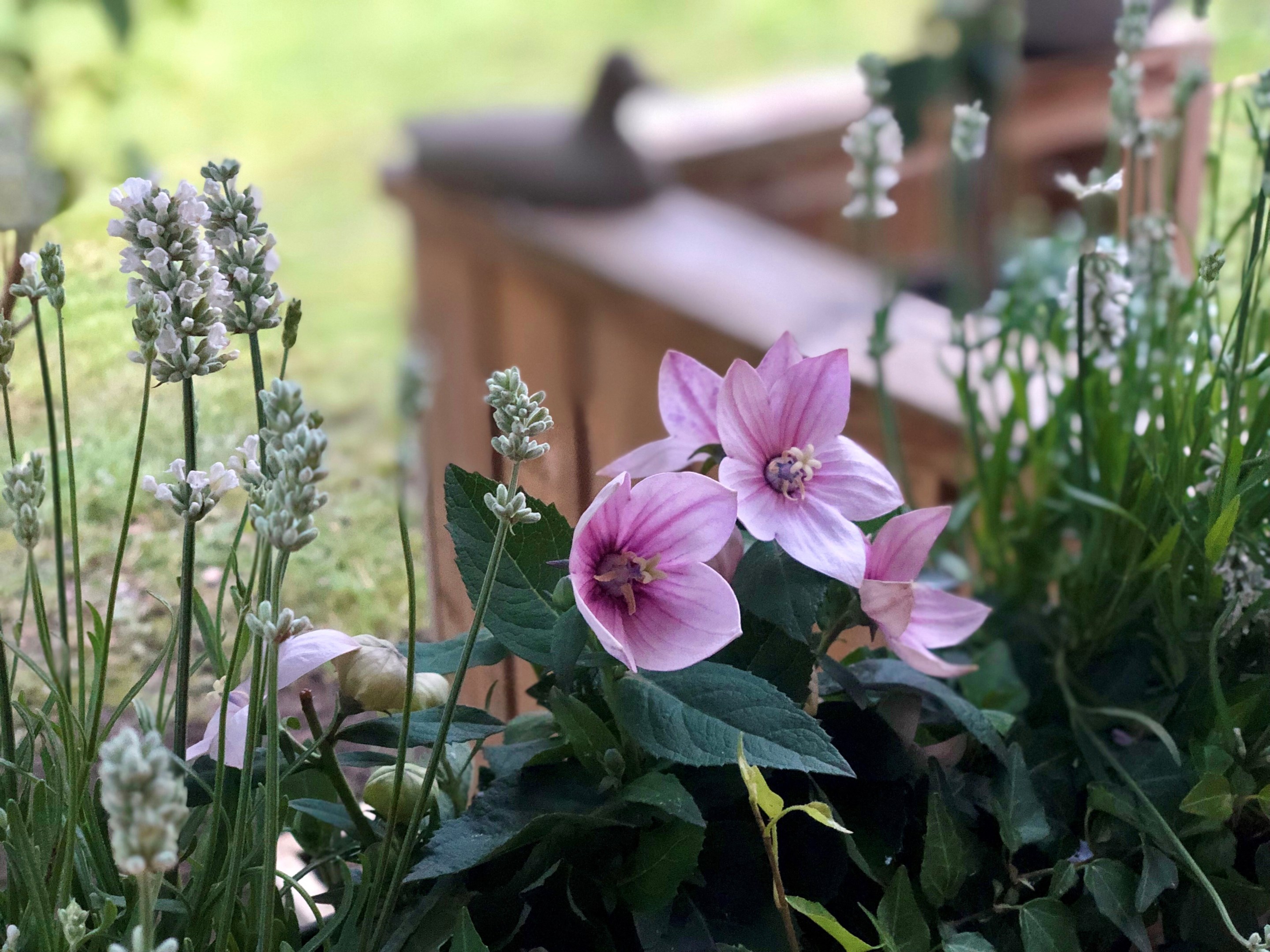 Bostadsbild från Kummingatan 50 C, Såld i Årsta, Uppsala