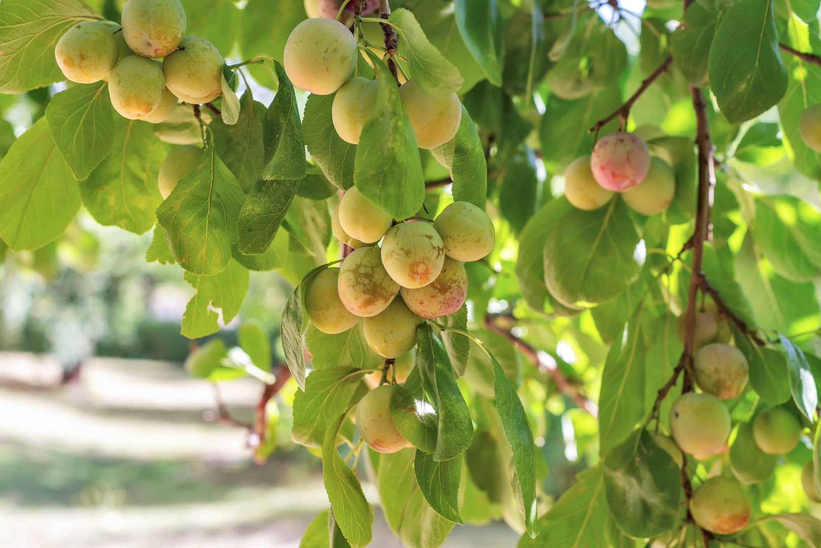 Bostadsbild från Dag hammarskjölds väg 25A, Såld i Kåbo, Uppsala