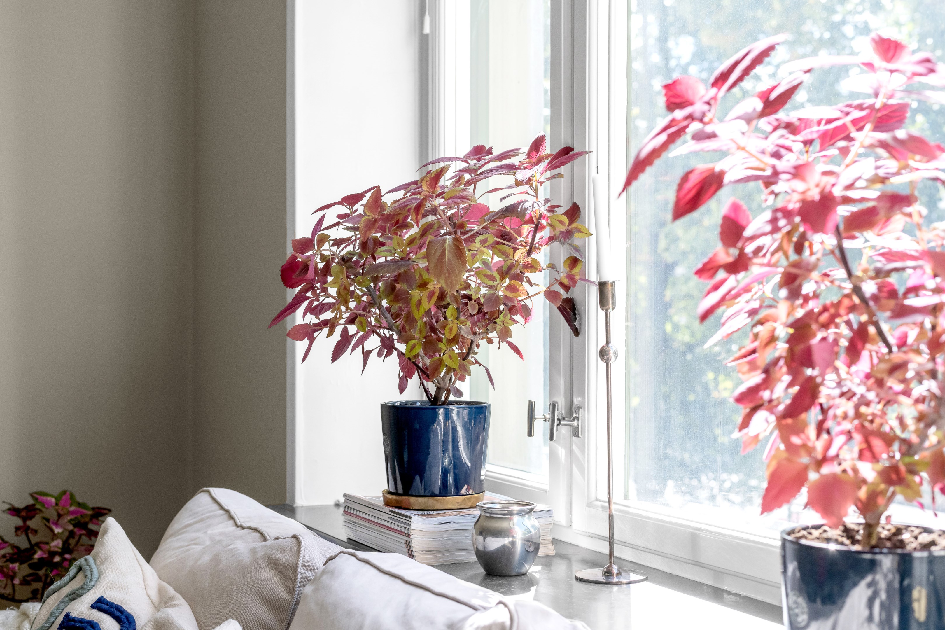 Bostadsbild från Botvidsgatan 6 B, Såld i Höganäs, Uppsala