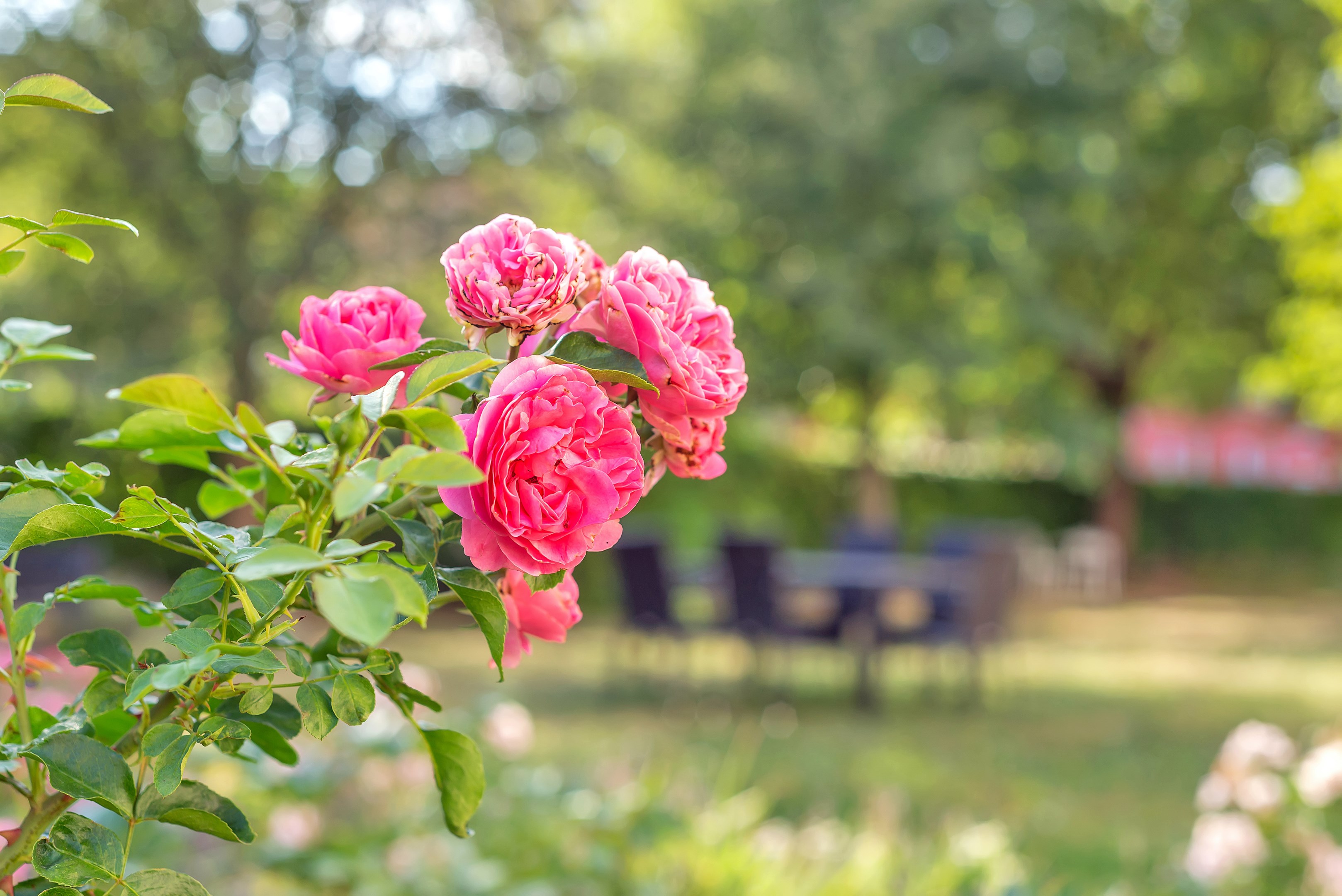 Bostadsbild från Svartbäcksgatan 83A, Såld i Svartbäcken, Uppsala