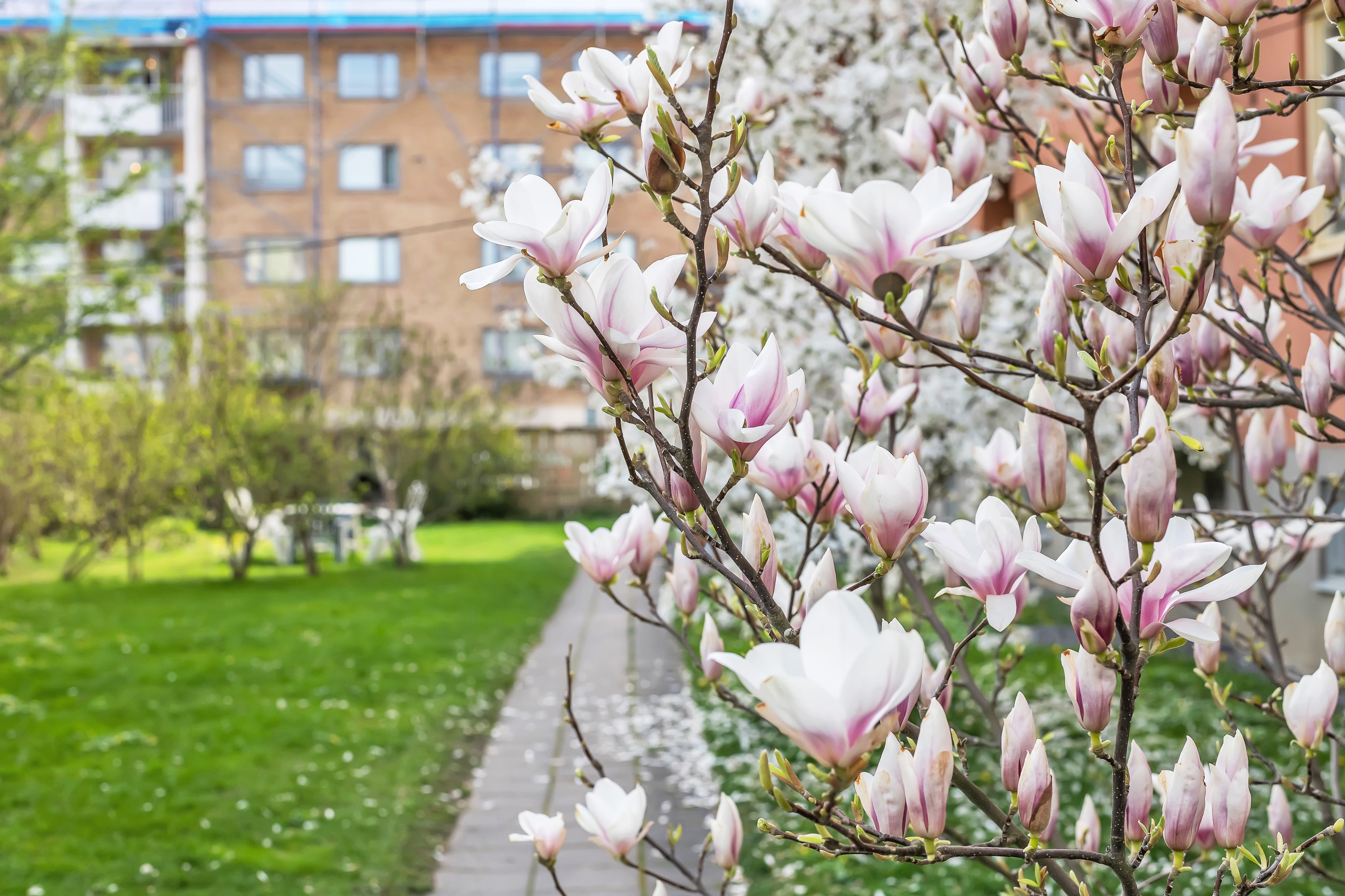 Bostadsbild från Götgatan 14A, Såld i Främre Luthagen, Uppsala