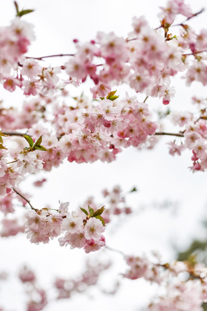 Bostadsbild från Bergslagsresan 2, Såld i Sävja, Uppsala