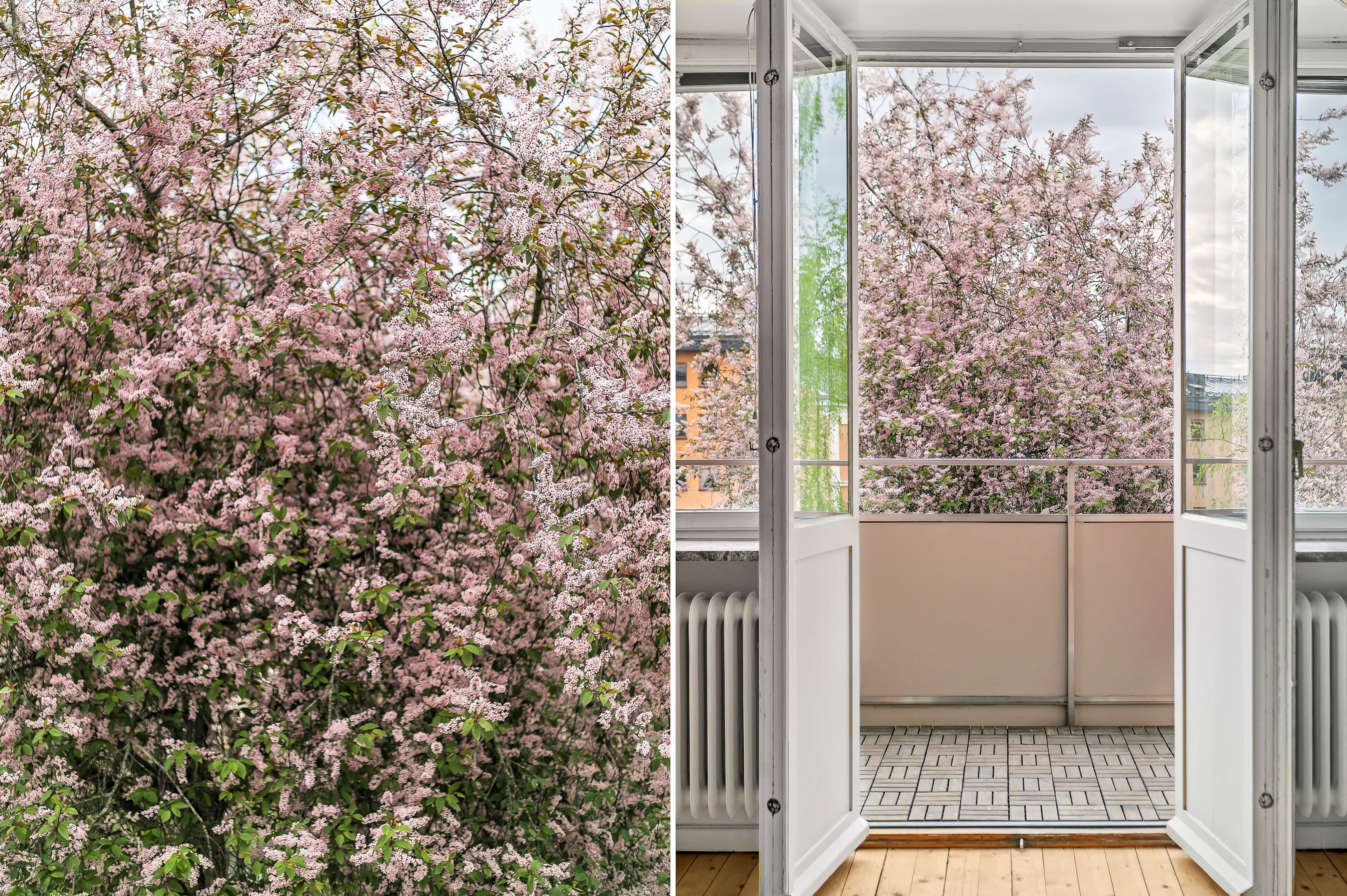 Bostadsbild från Salagatan 15B, Såld i Höganäs, Uppsala