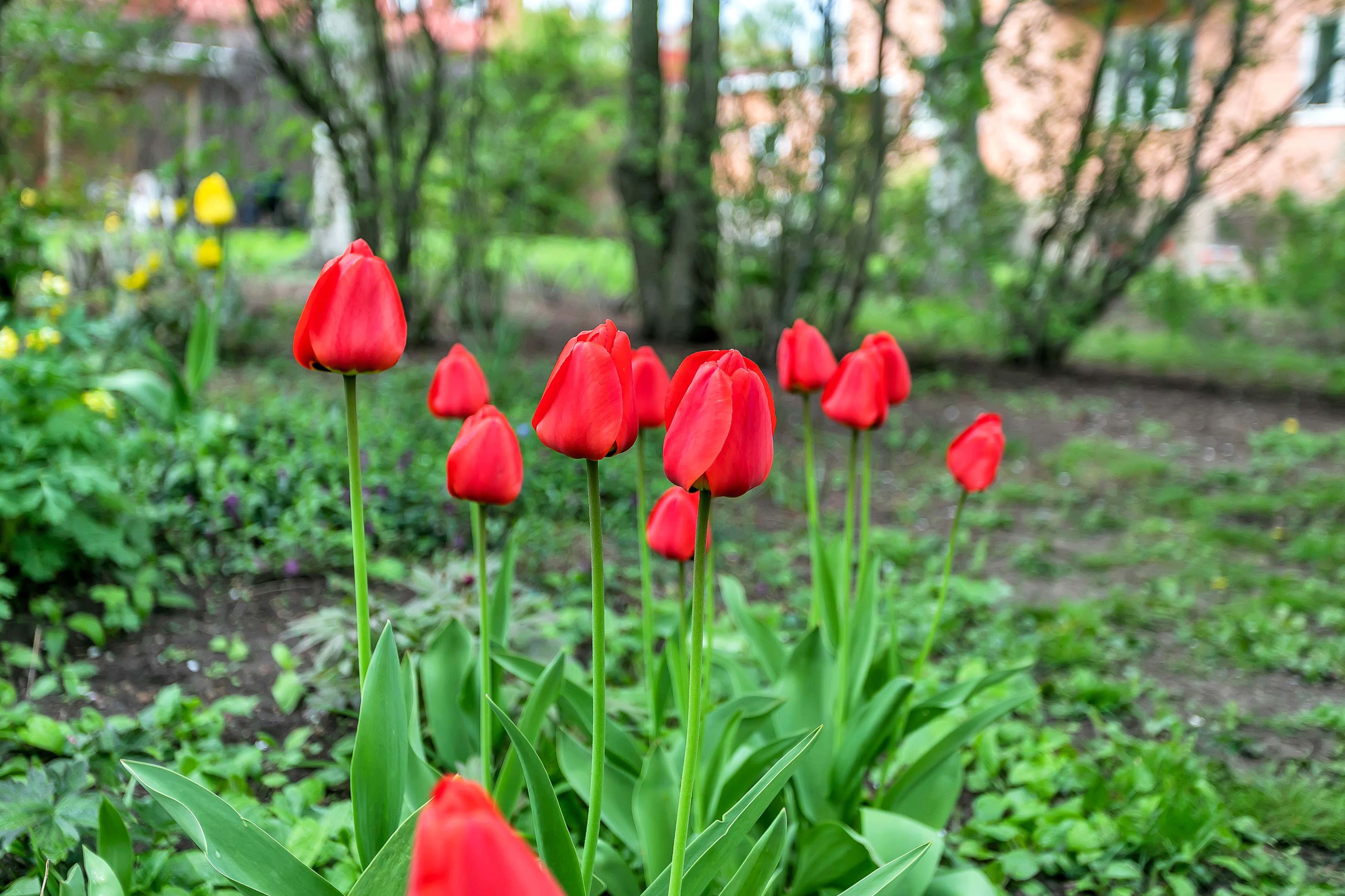 Bostadsbild från Salagatan 15B, Såld i Höganäs, Uppsala