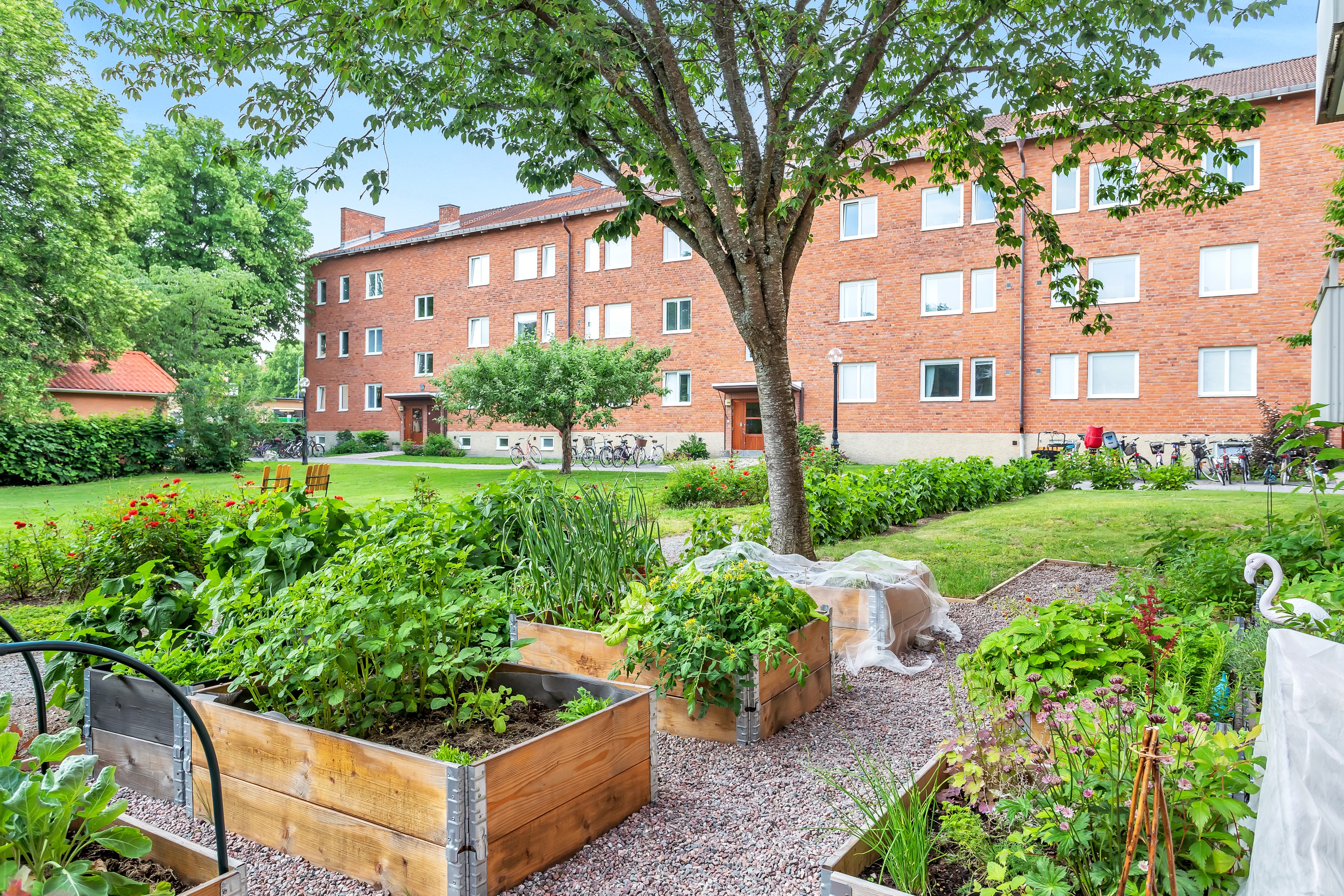 Bostadsbild från Tegnérgatan 36C, Såld i Luthagen, Uppsala
