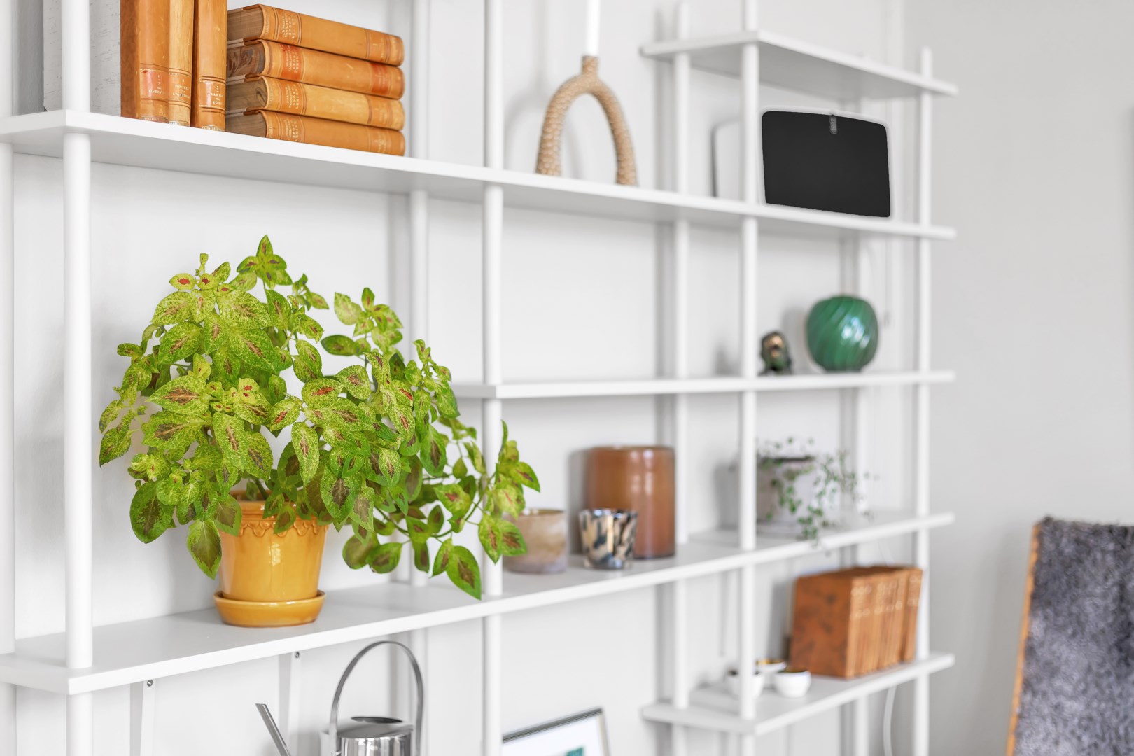 Bostadsbild från Väderkvarnsgatan 36, Såld i Fålhagen, Uppsala