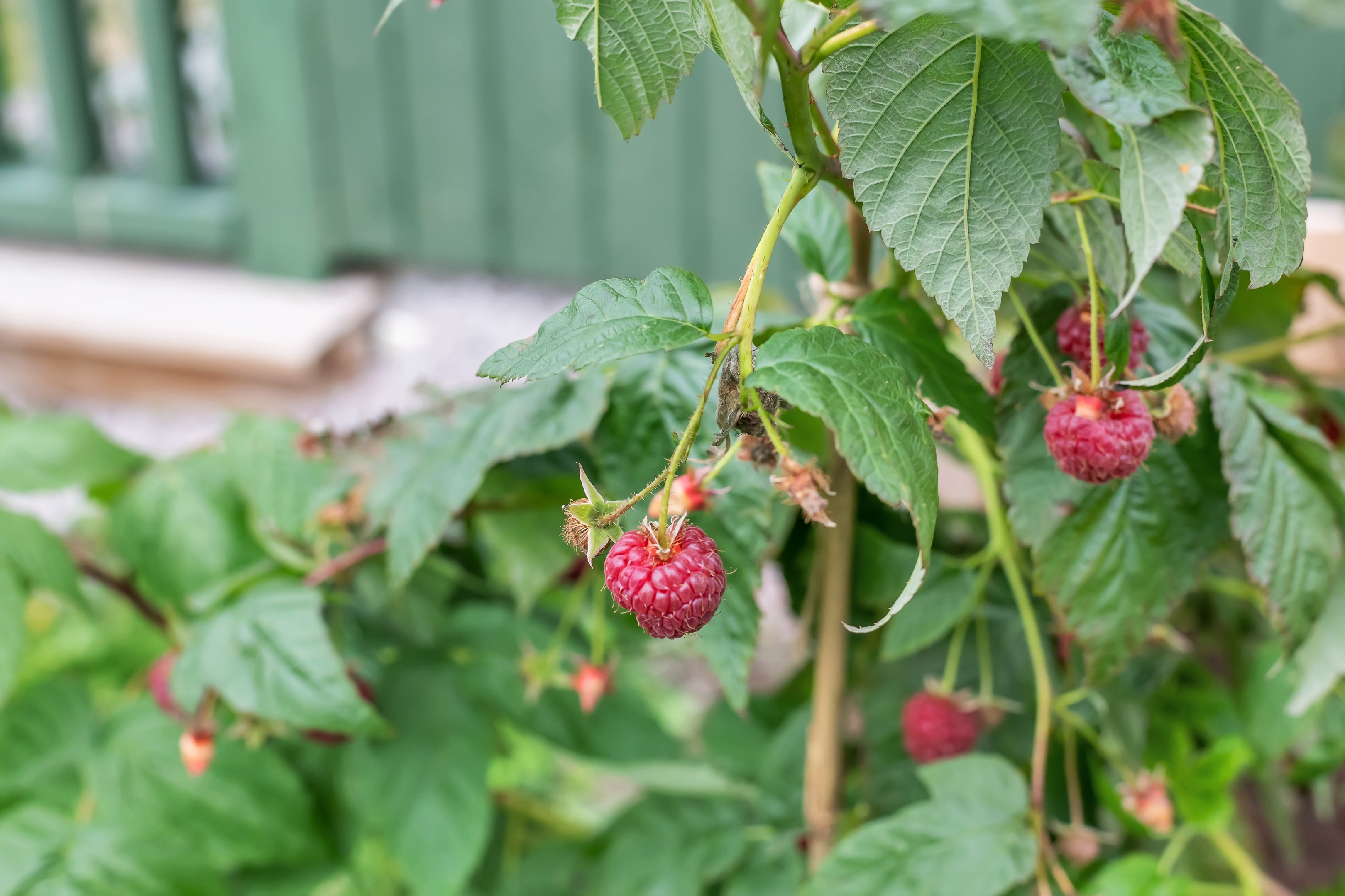 Bostadsbild från Vitmossvägen 16, Såld i Lindbacken, Uppsala