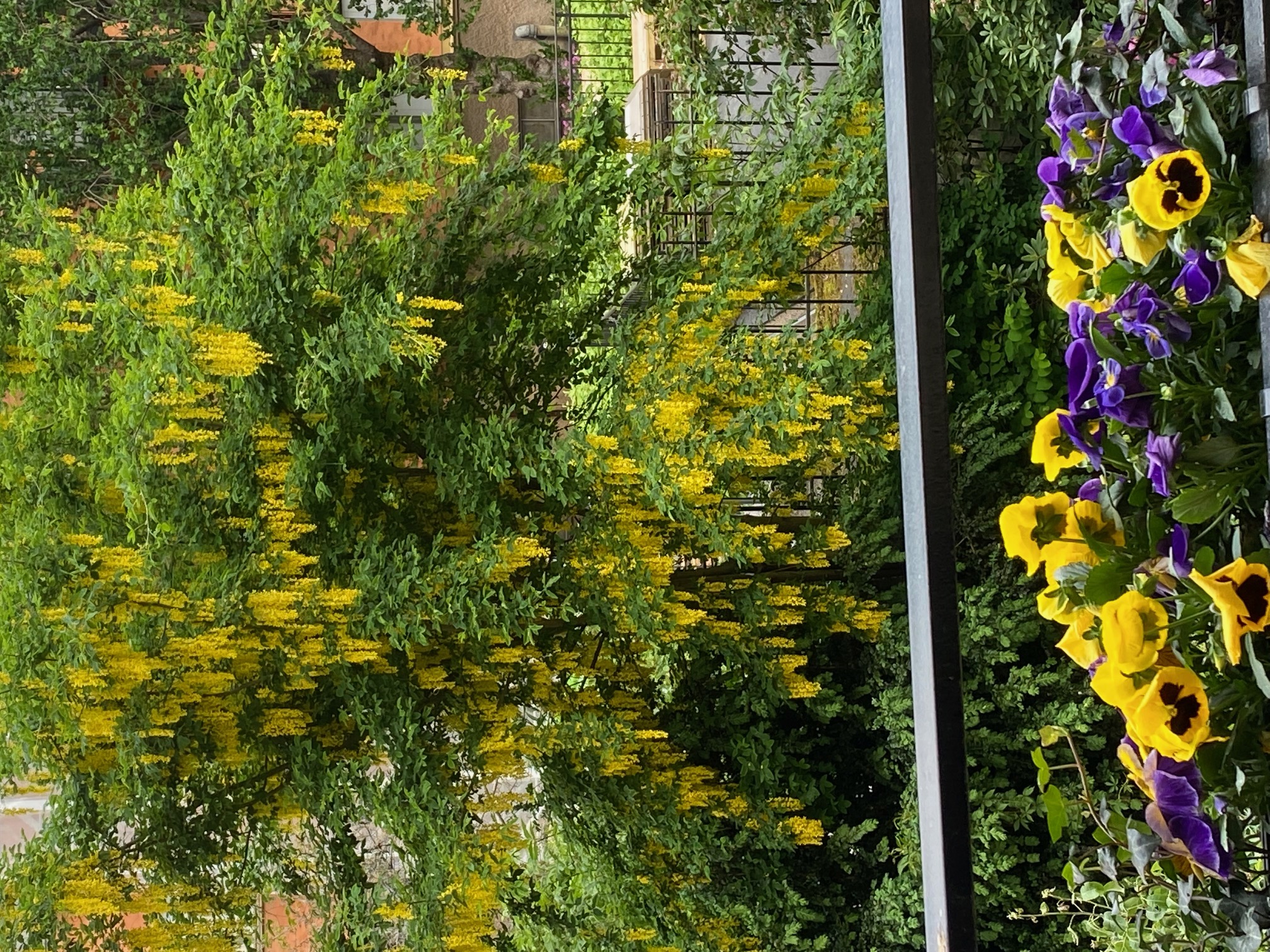 Bostadsbild från Ingemarsgatan 10, Såld i Vasastan - Sibirien, Stockholm