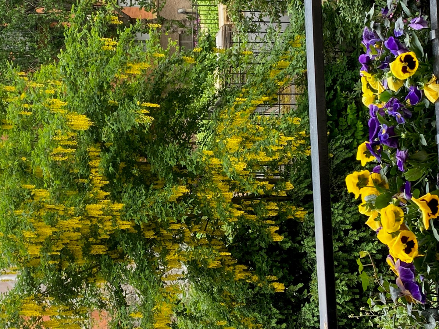 Bostadsbild från Ingemarsgatan 10, Såld i Vasastan - Sibirien, Stockholm