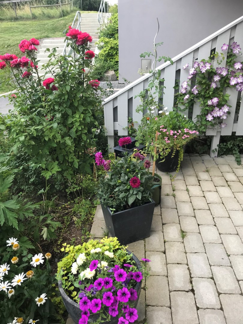 Bostadsbild från Gränbyvägen 2C, Såld i Gränby backe, Uppsala