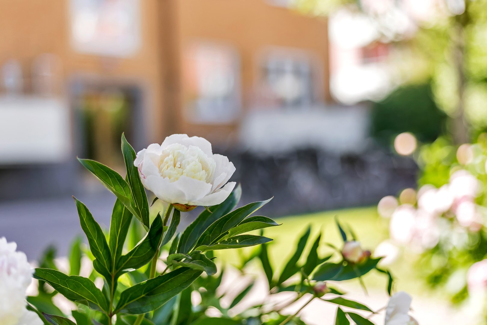 Bostadsbild från Vindhemsgatan 15 B, Såld i Luthagen, Uppsala