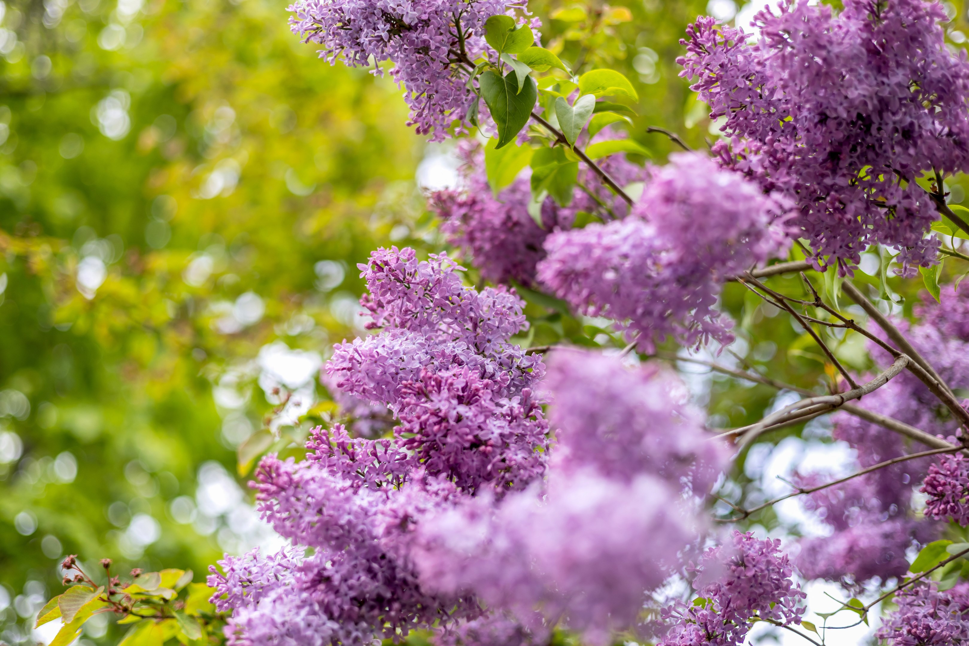Bostadsbild från Eriksbergsvägen 12A, Såld i Sommarro, Uppsala