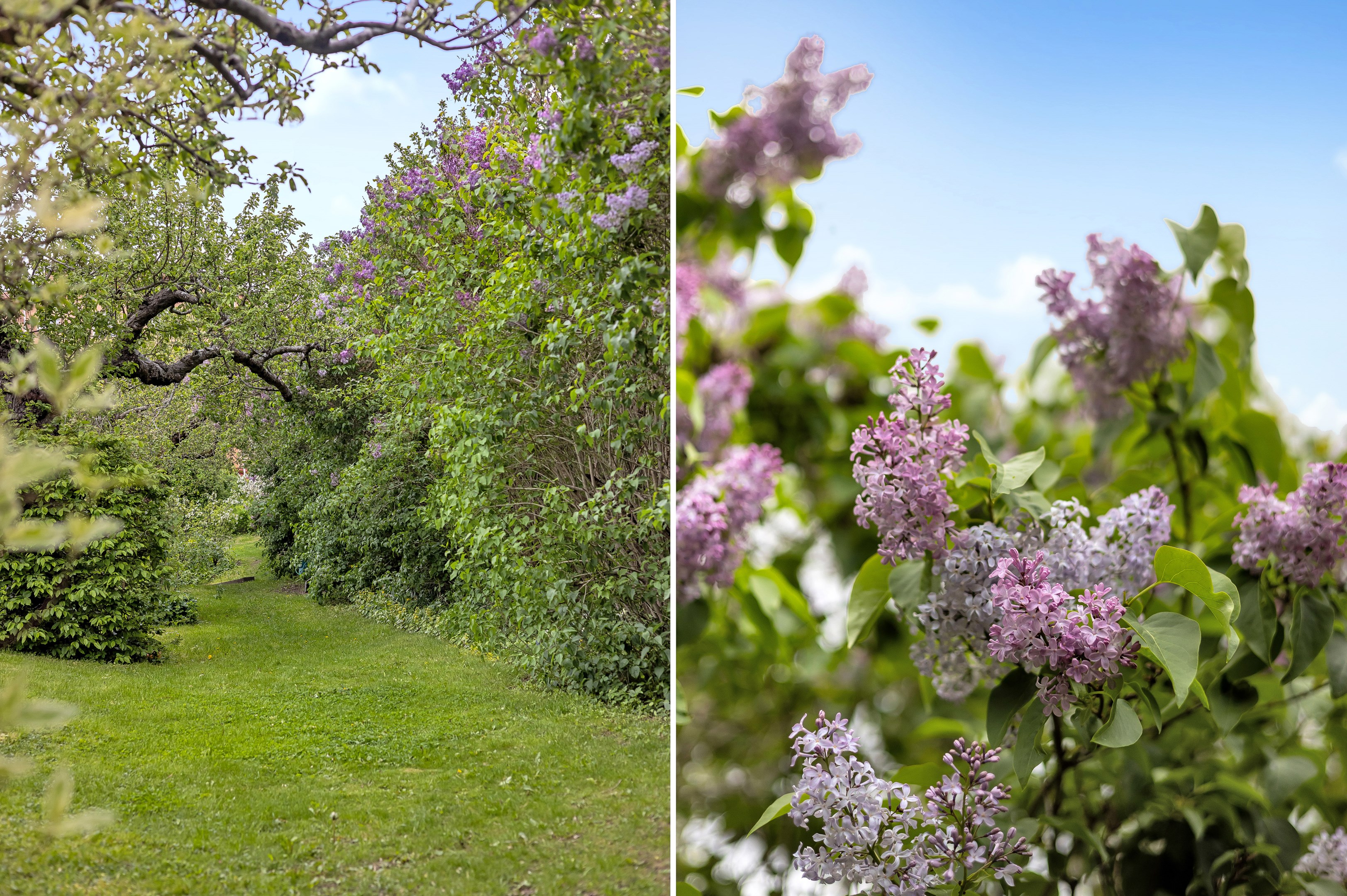 Bostadsbild från Eriksbergsvägen 12A, Såld i Sommarro, Uppsala