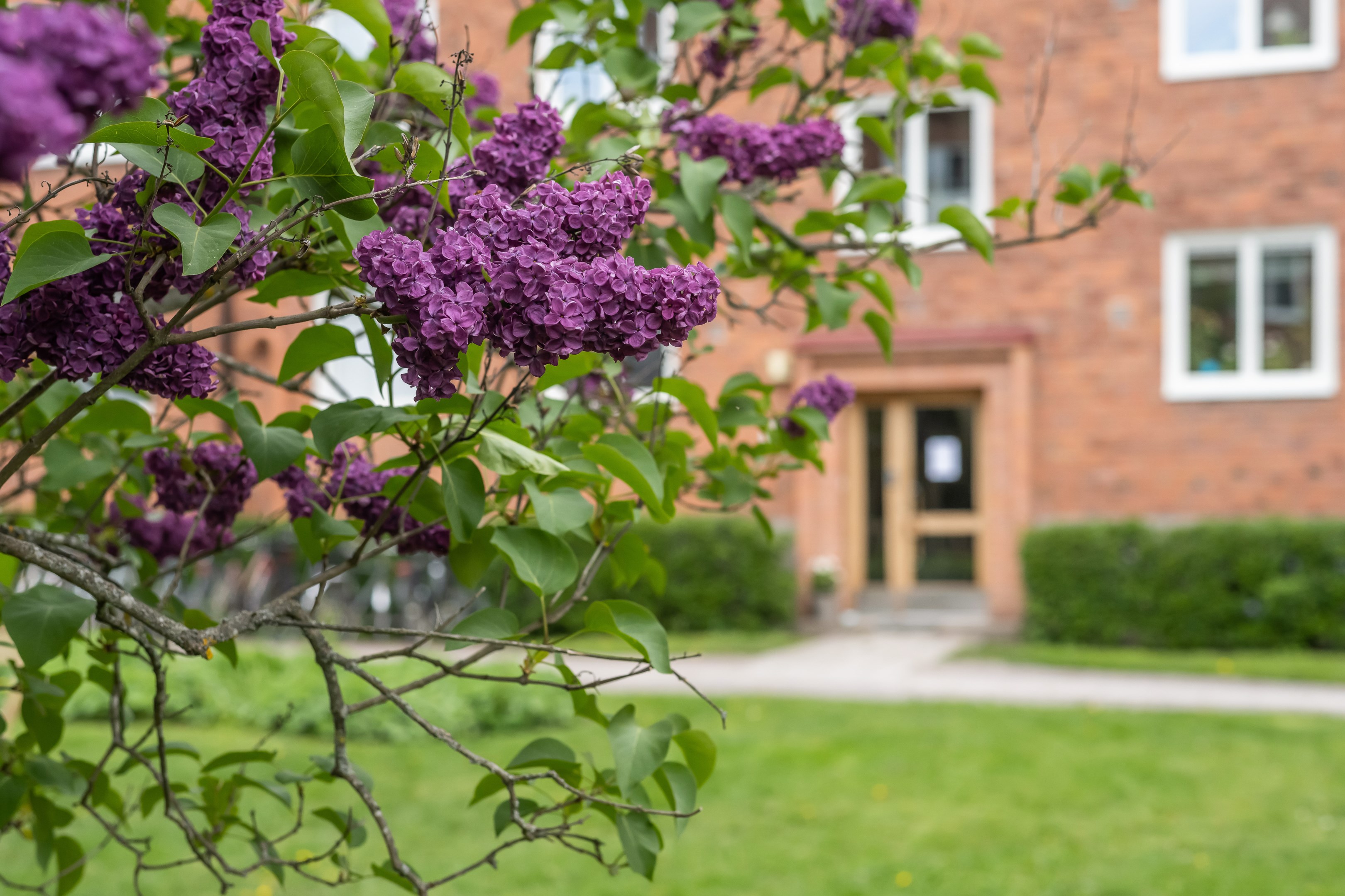 Bostadsbild från Bredmansgatan 9 A, Såld i Luthagen, Uppsala