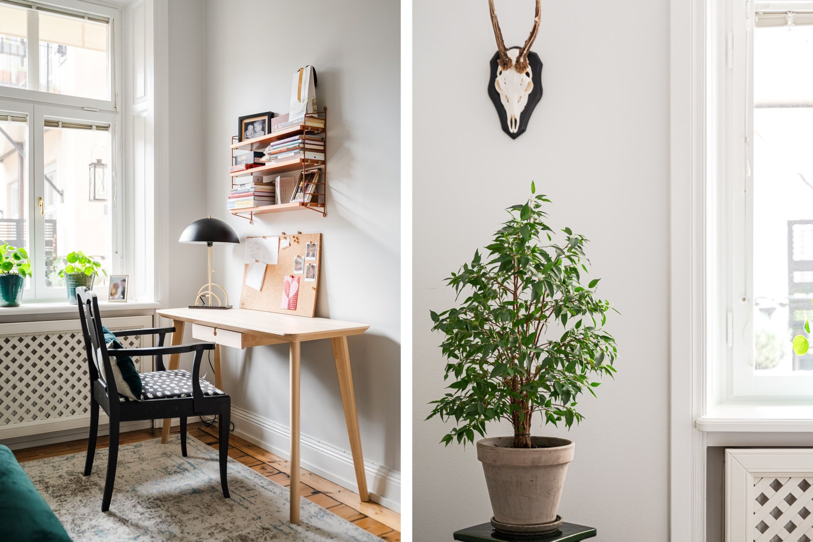 Bostadsbild från Tavastgatan 47, Kommande i Södermalm - Mariaberget, Stockholm