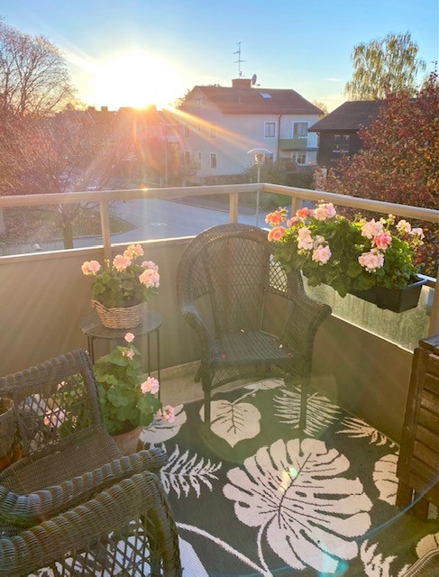 Bostadsbild från Hällbygatan 11, Såld i Luthagen, Uppsala