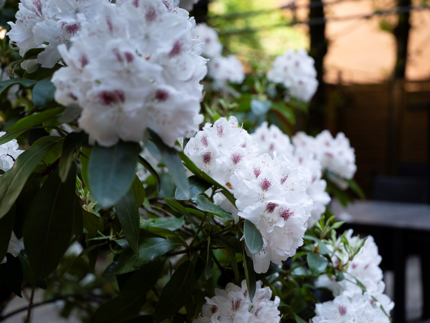 Bostadsbild från Högbergsgatan 76 A, Såld i Södermalm - Mariatorget, Stockholm