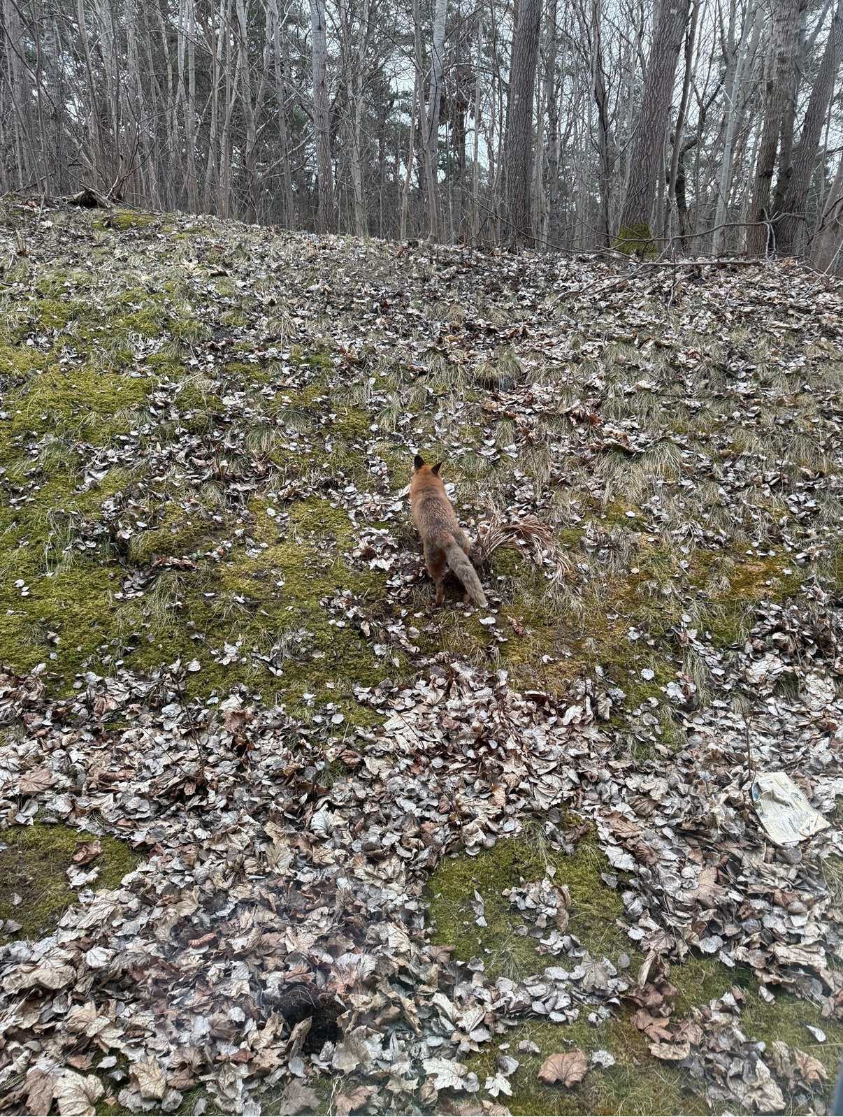 Bostadsbild från Norbyvägen 44 B, Såld i Sommarro, Uppsala