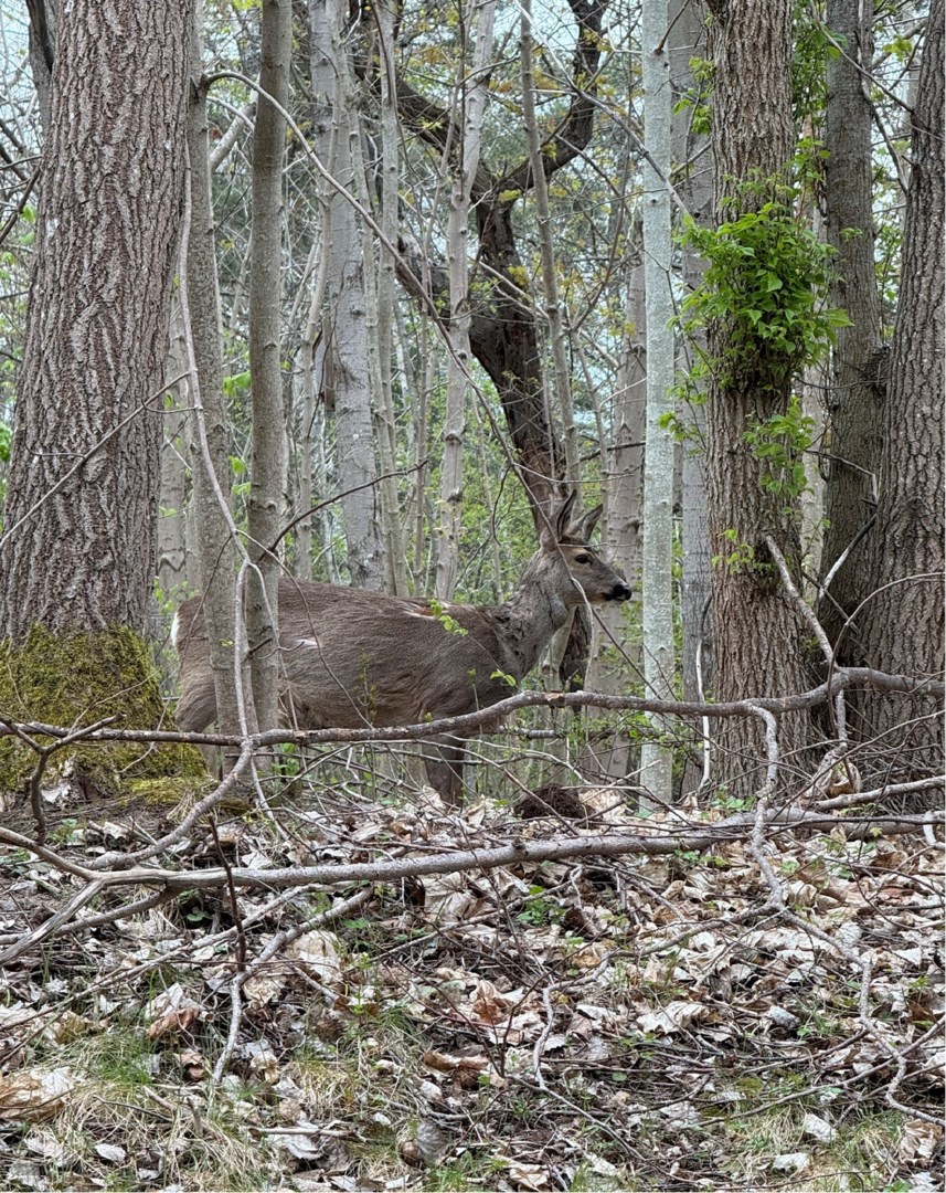 Bostadsbild från Norbyvägen 44 B, Såld i Sommarro, Uppsala