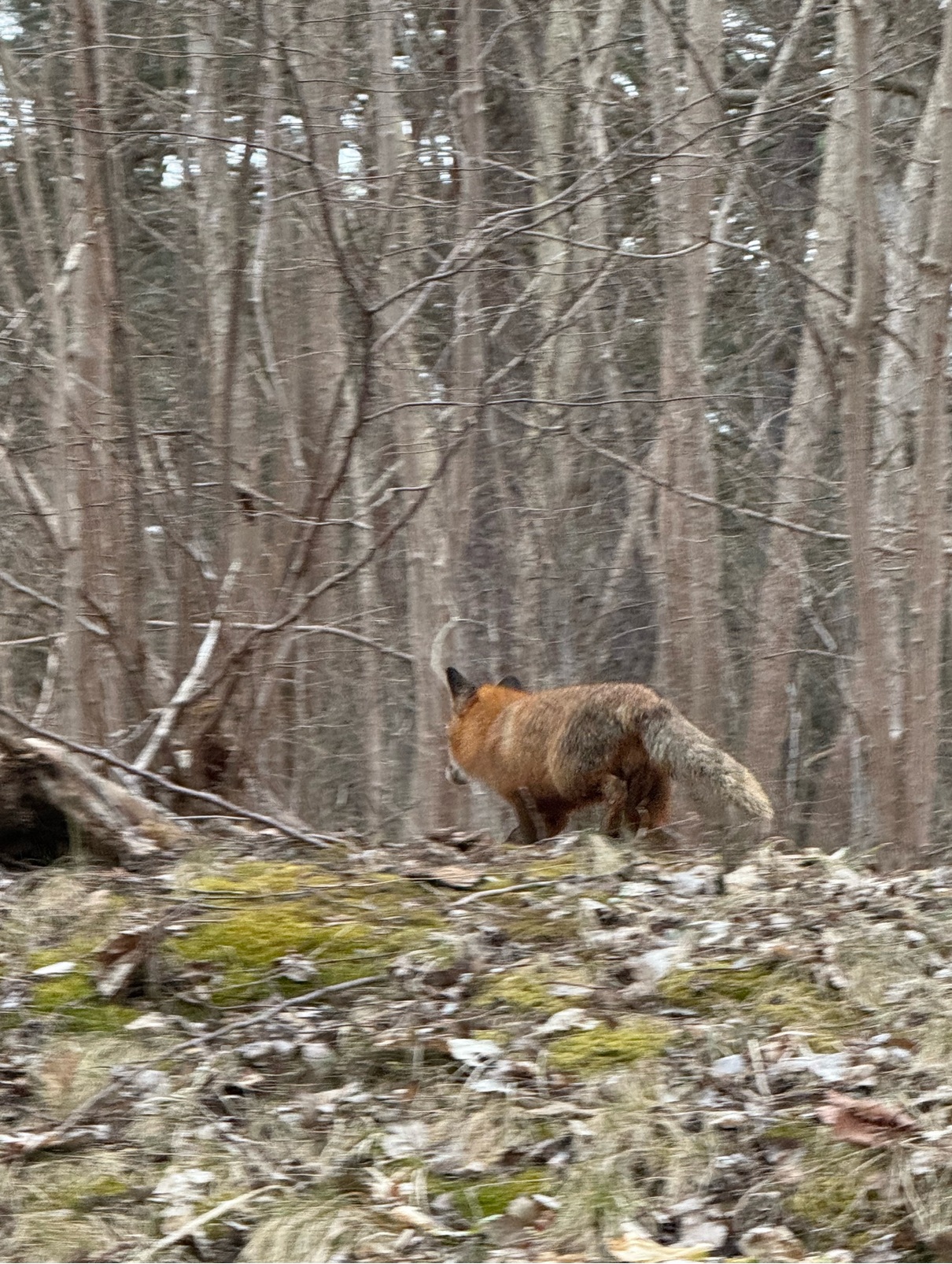 Bostadsbild från Norbyvägen 44 B, Såld i Sommarro, Uppsala
