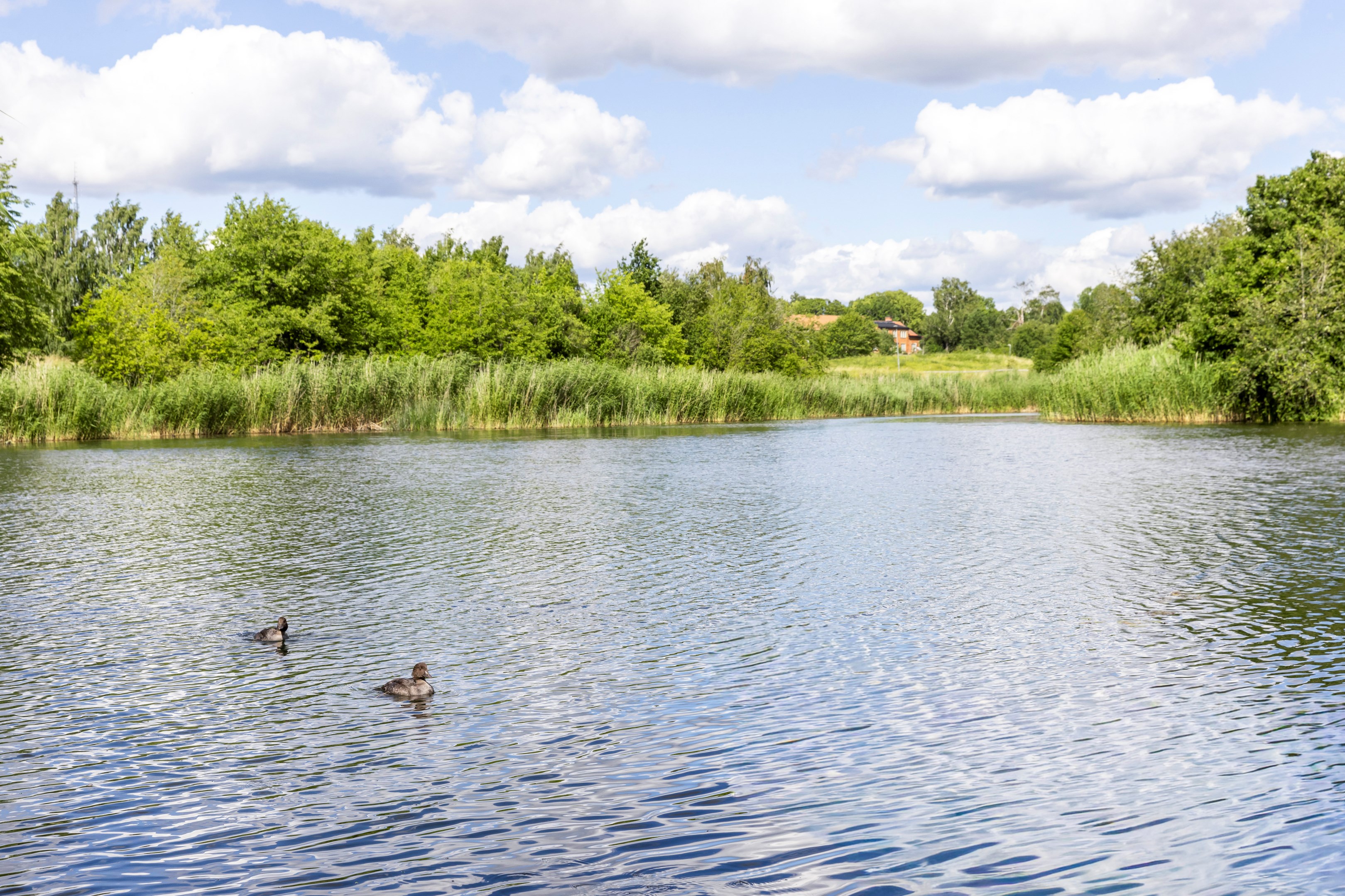 Bostadsbild från Basarbovägen 3, Snart till salu i Ekeby, Uppsala