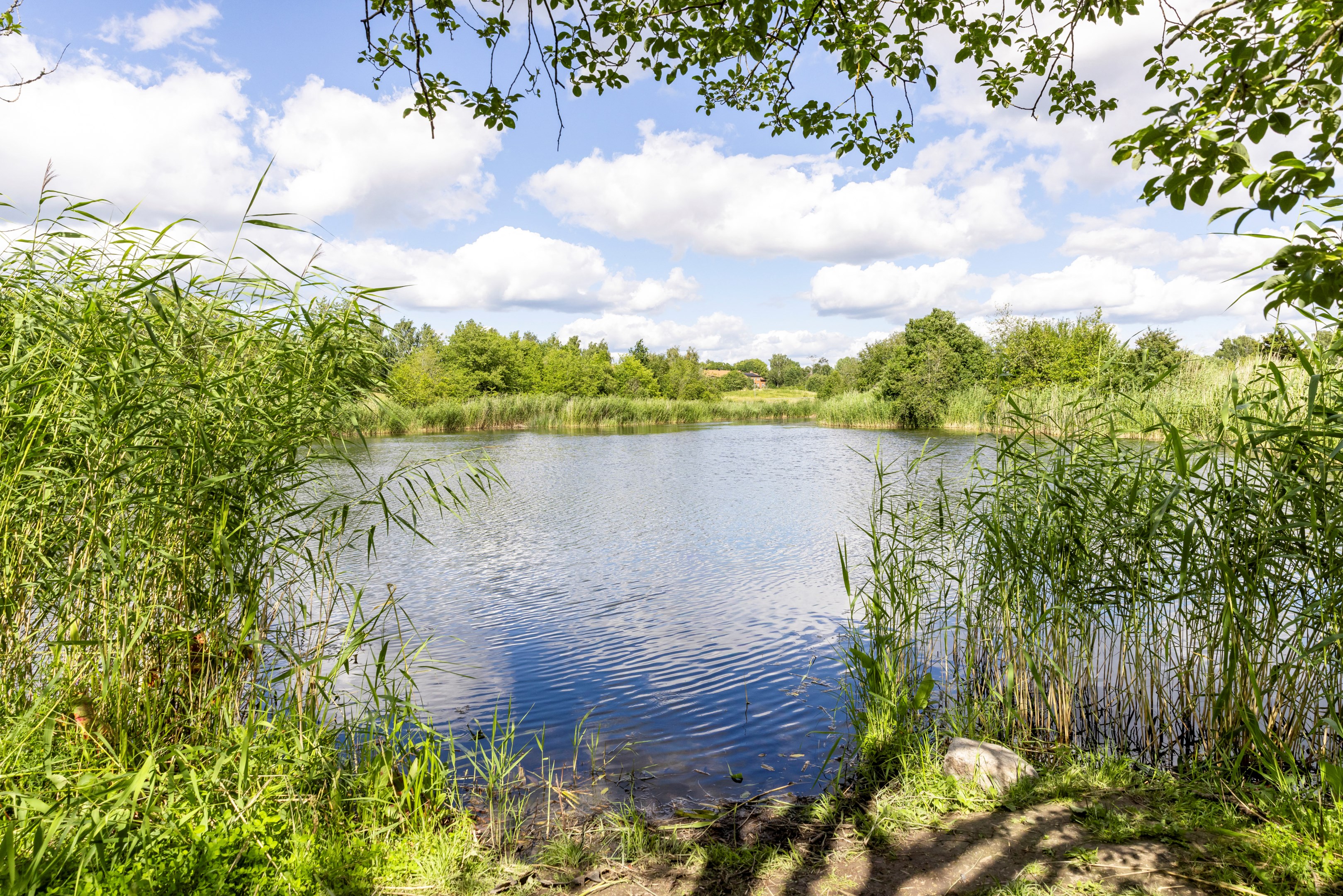 Bostadsbild från Basarbovägen 3, Snart till salu i Ekeby, Uppsala