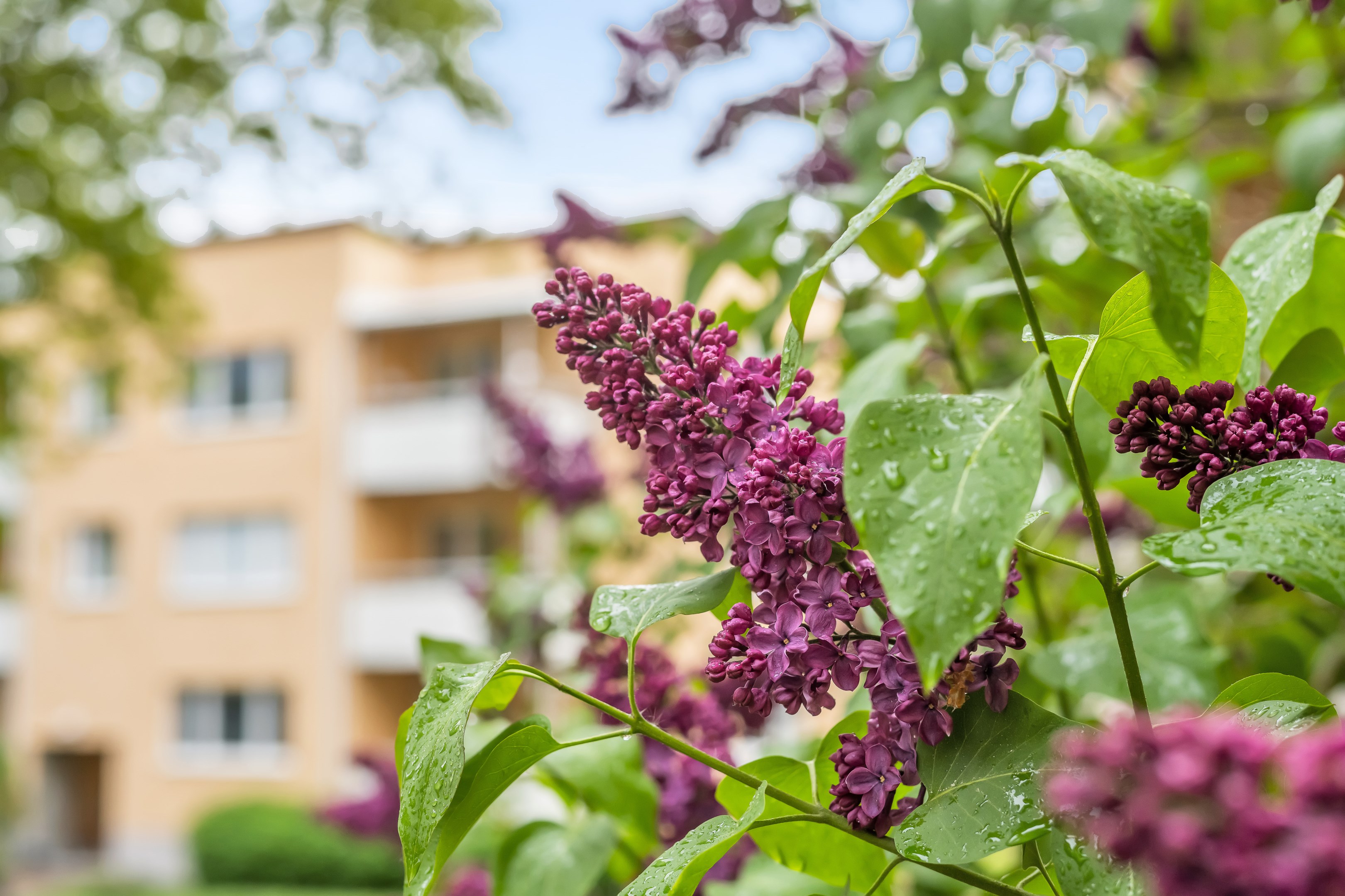 Bostadsbild från Gnejsvägen 8A, Såld i Eriksberg, Uppsala