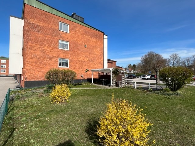 Gemensam grillplats/trädgård