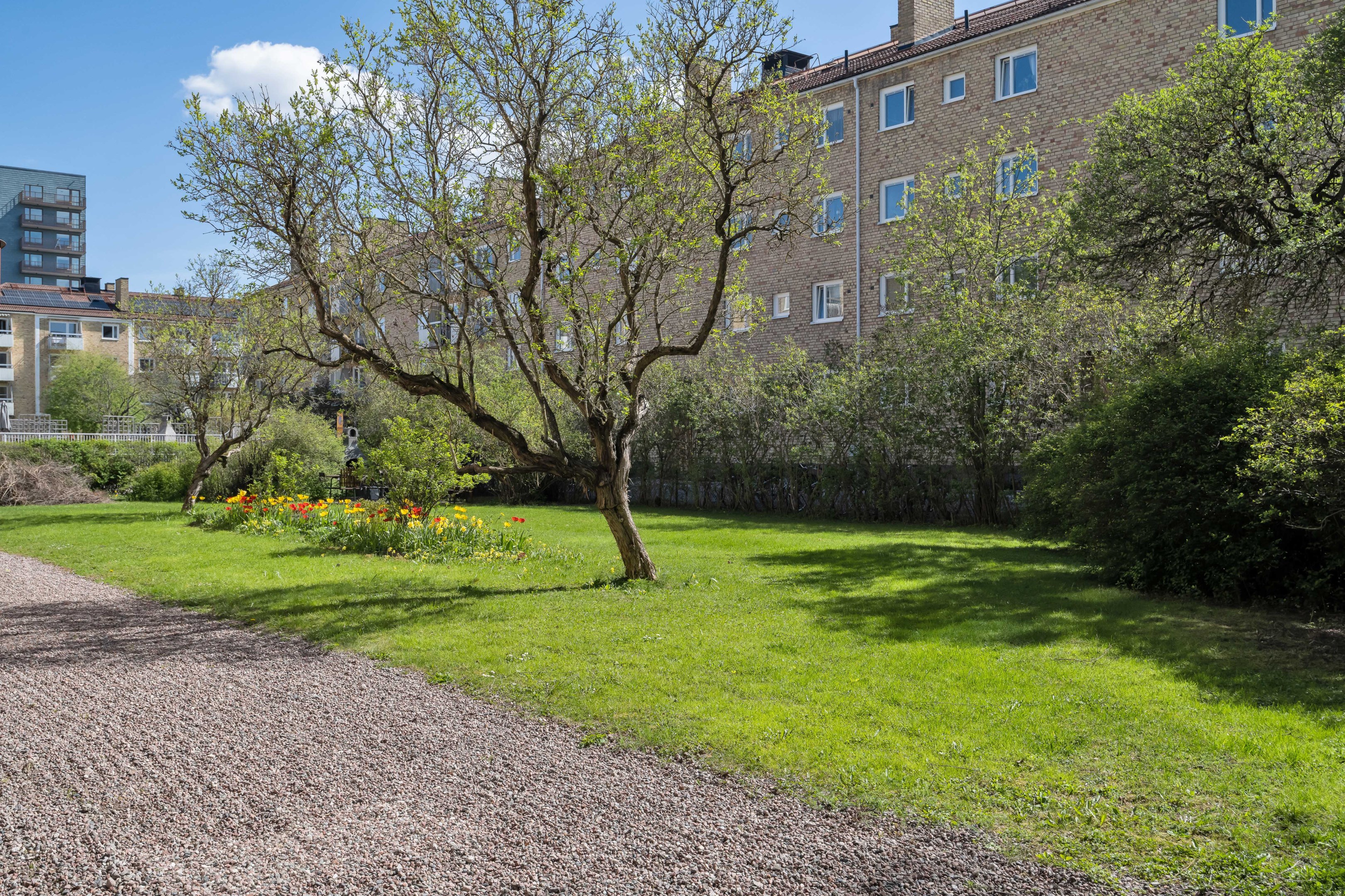 Bostadsbild från S:t Olofsgatan 41 B, Såld i Höganäs, Uppsala