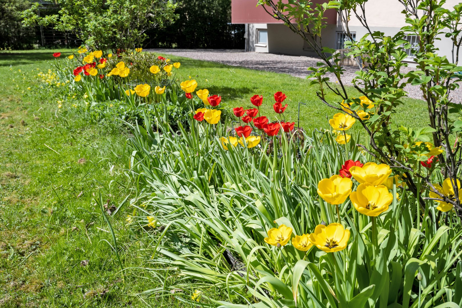 Bostadsbild från S:t Olofsgatan 41 B, Såld i Höganäs, Uppsala