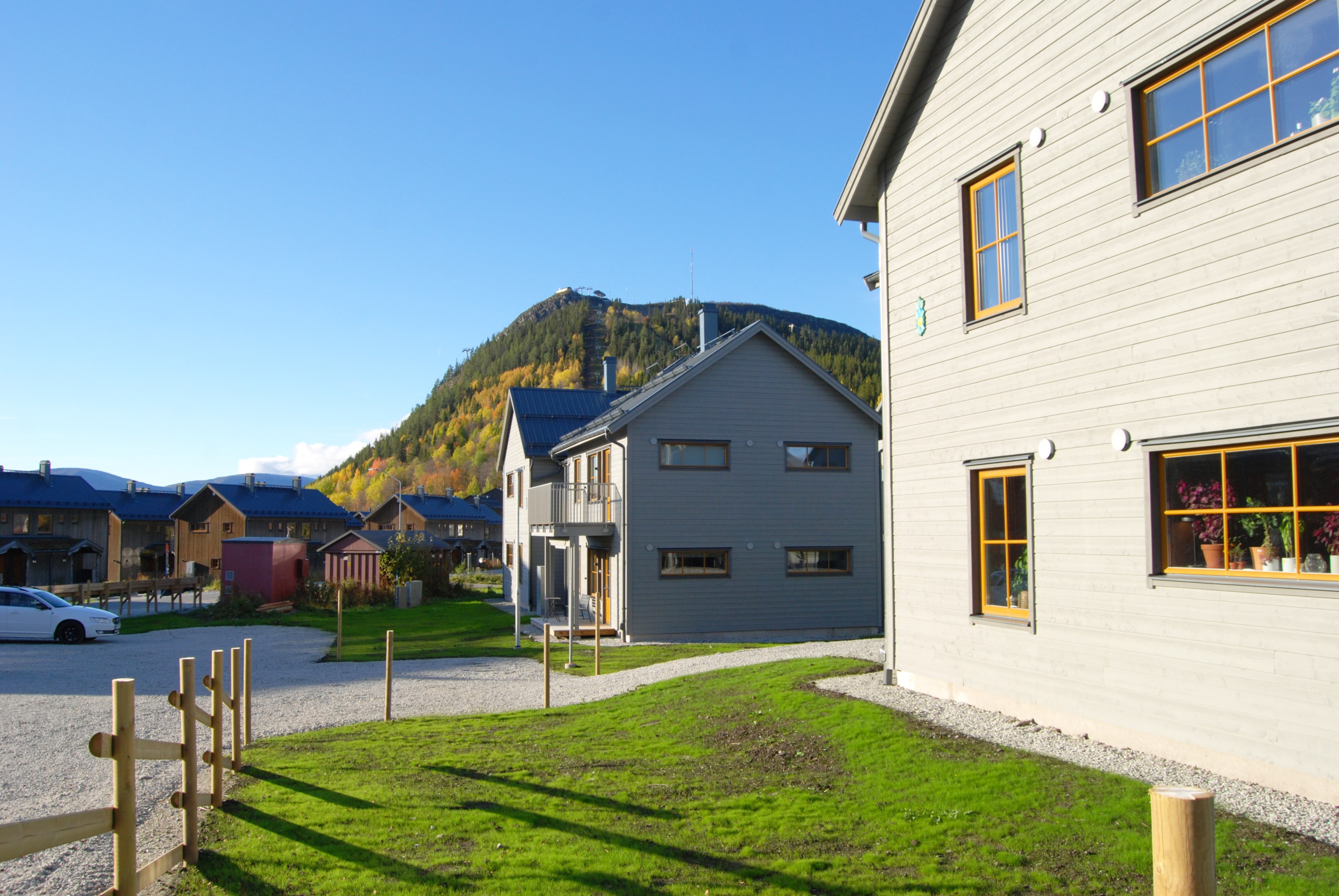 Nu är markarbetet klart och gräset börjar ta sig.