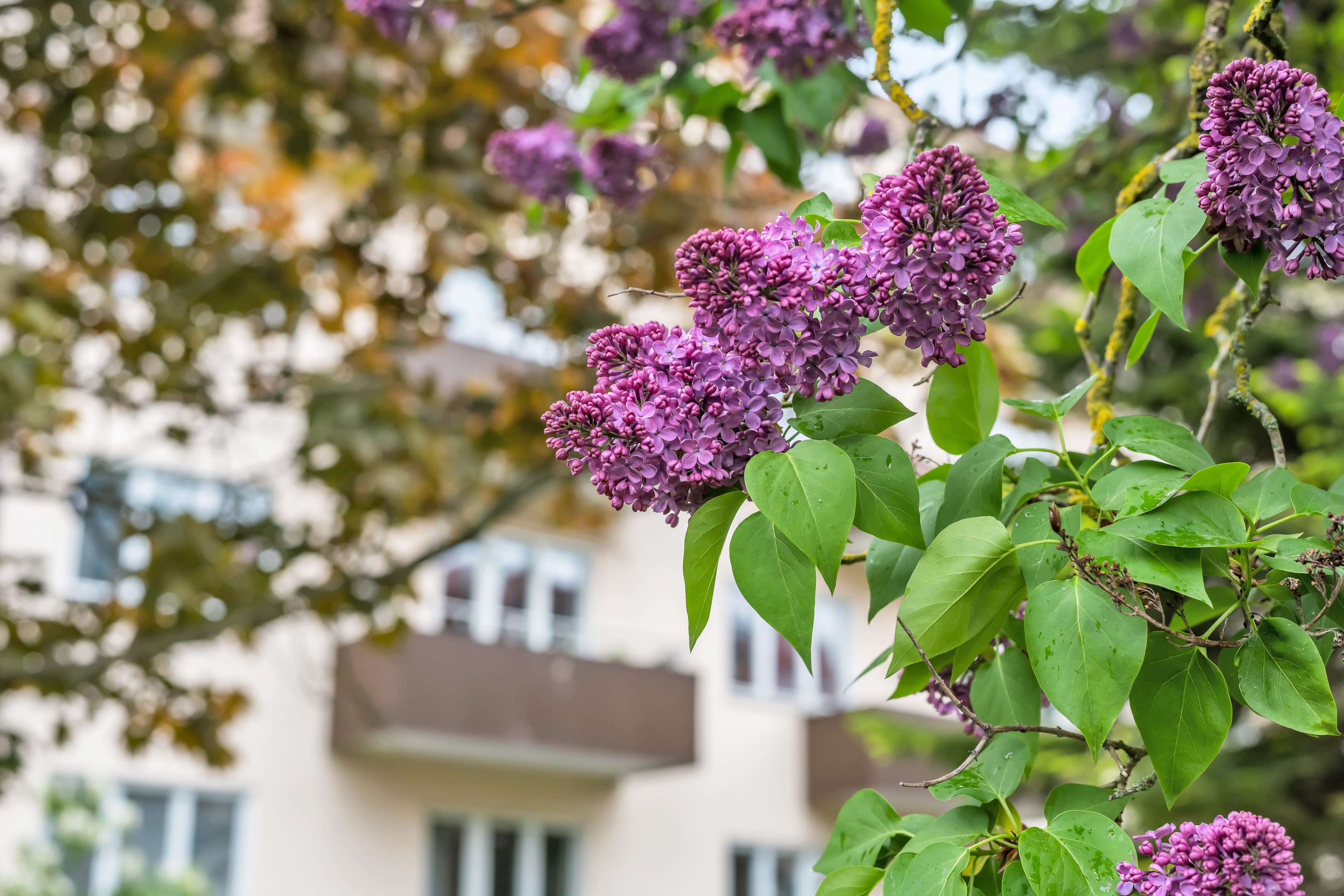 Bostadsbild från Fålhagsleden 5A, Såld i Fålhagen, Uppsala