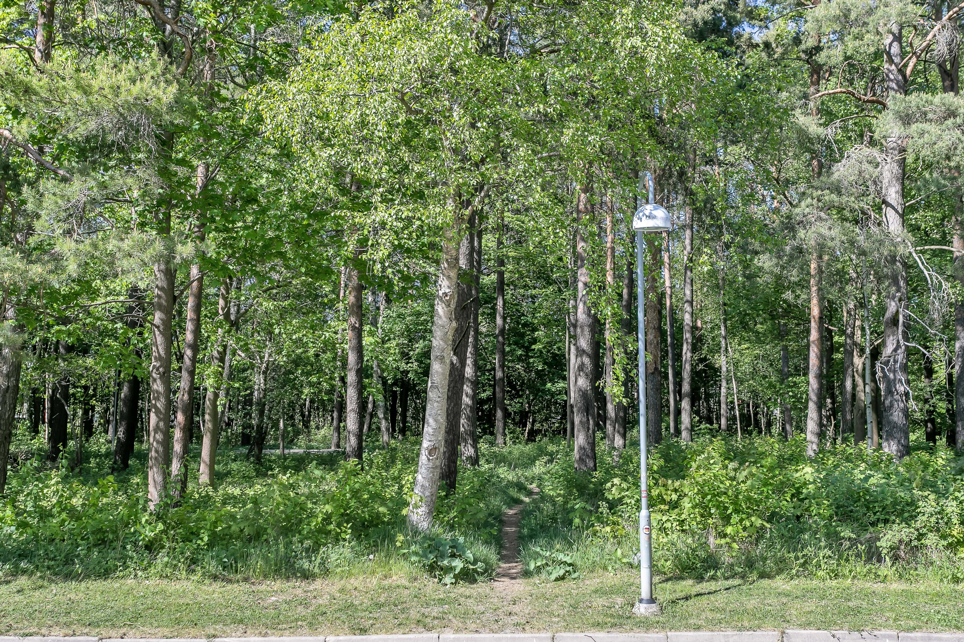 Bostadsbild från Bellmansgatan 166, Kommande i Bellman, Uppsala