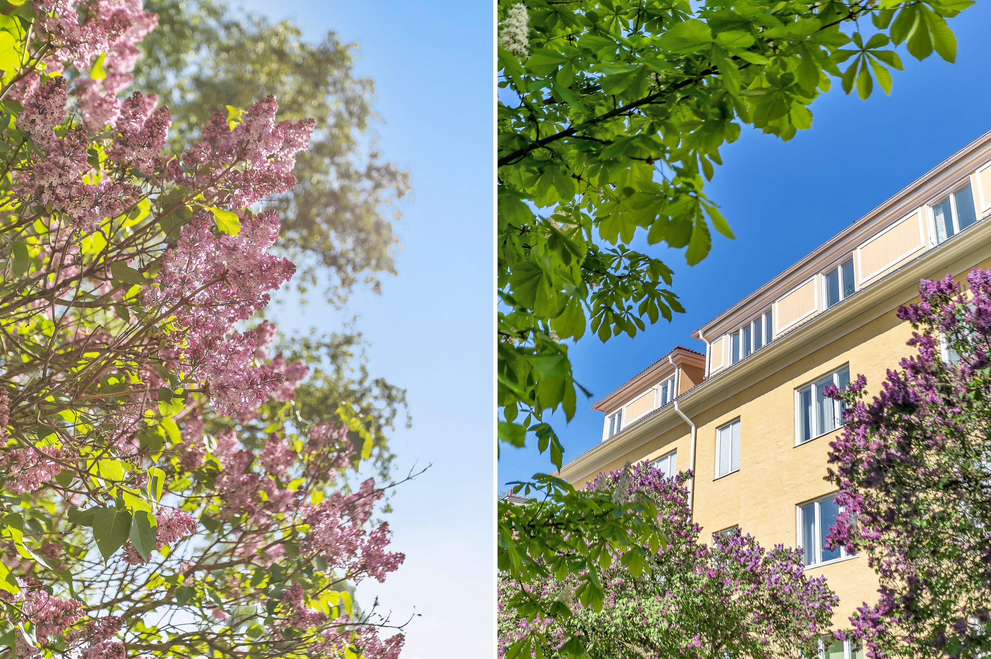 Bostadsbild från Höganäsgatan 7A, Såld i Höganäs, Uppsala